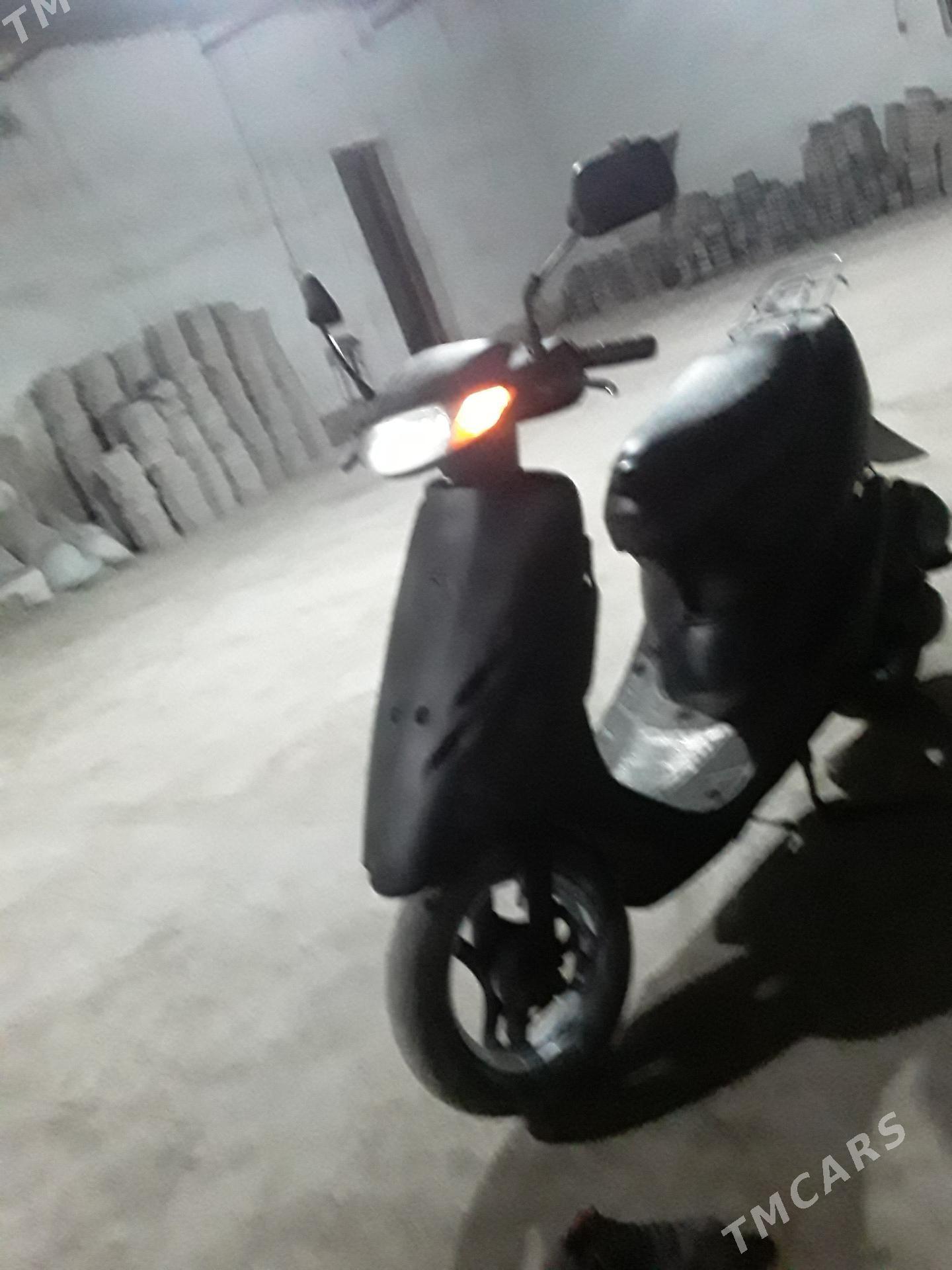 skutyr - Магданлы - img 1