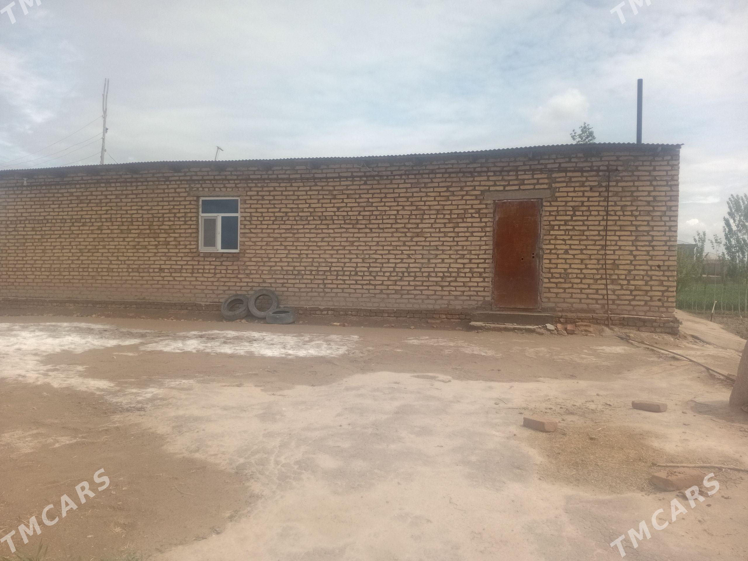 Satlyk jay - Görogly (Tagta) - img 1