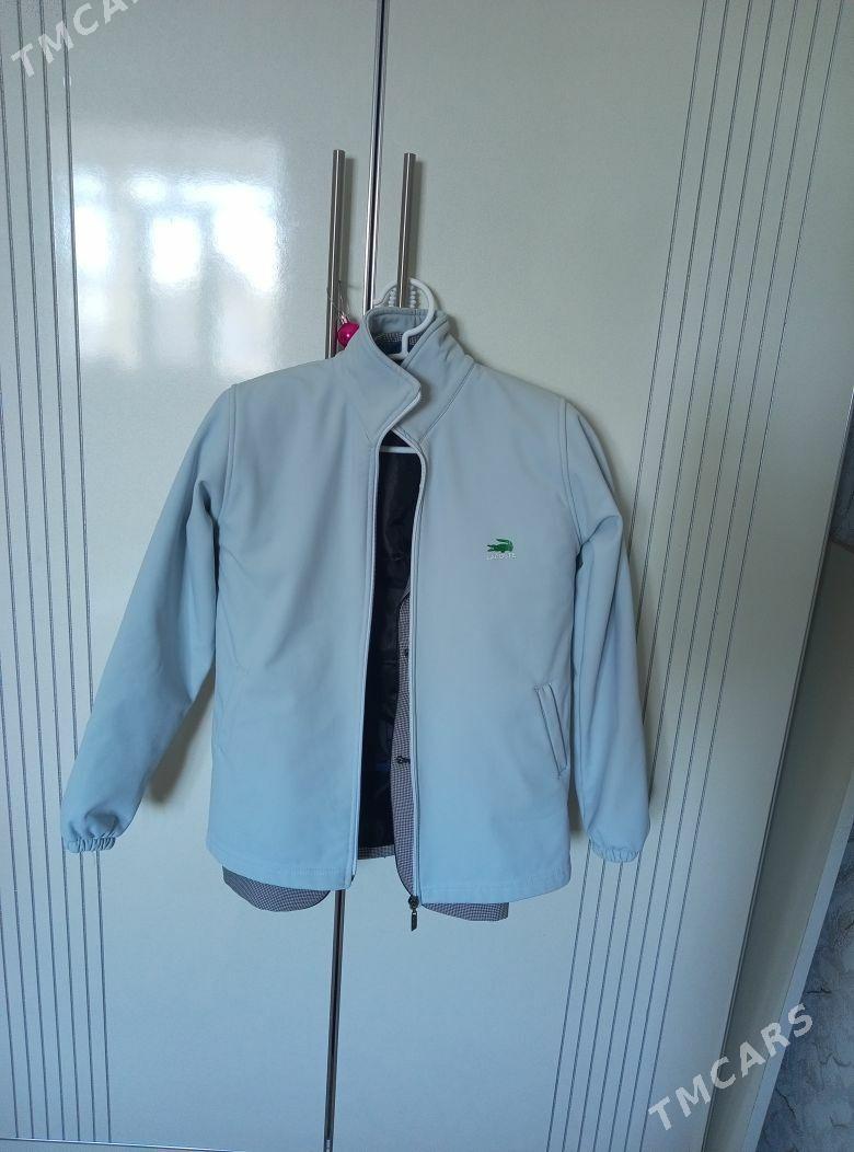 Gök spartifka - Балканабат - img 1