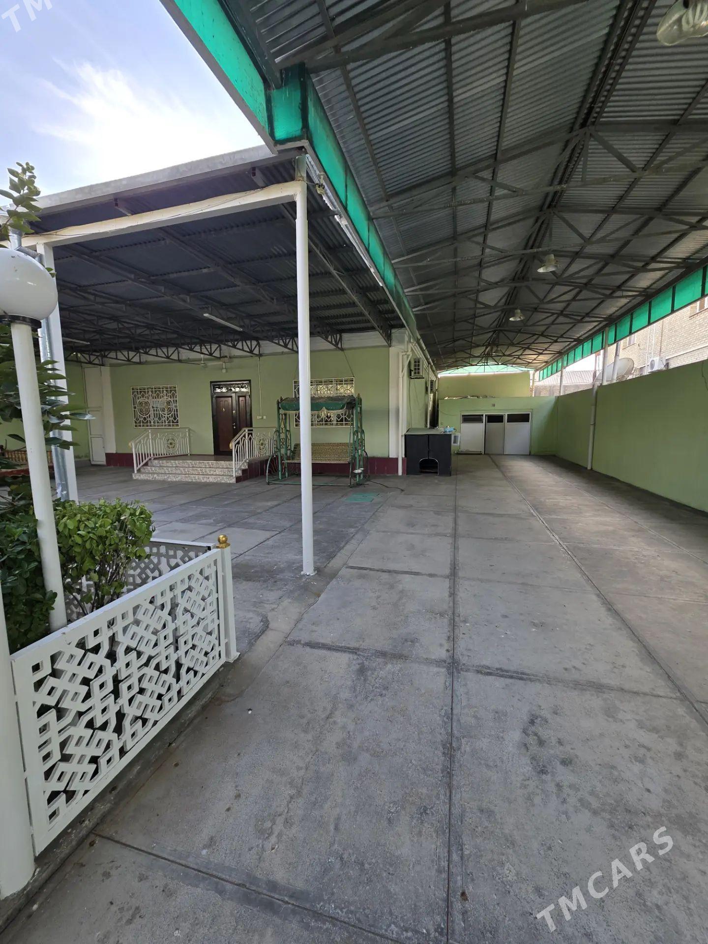 Taze gami - Änew - img 1