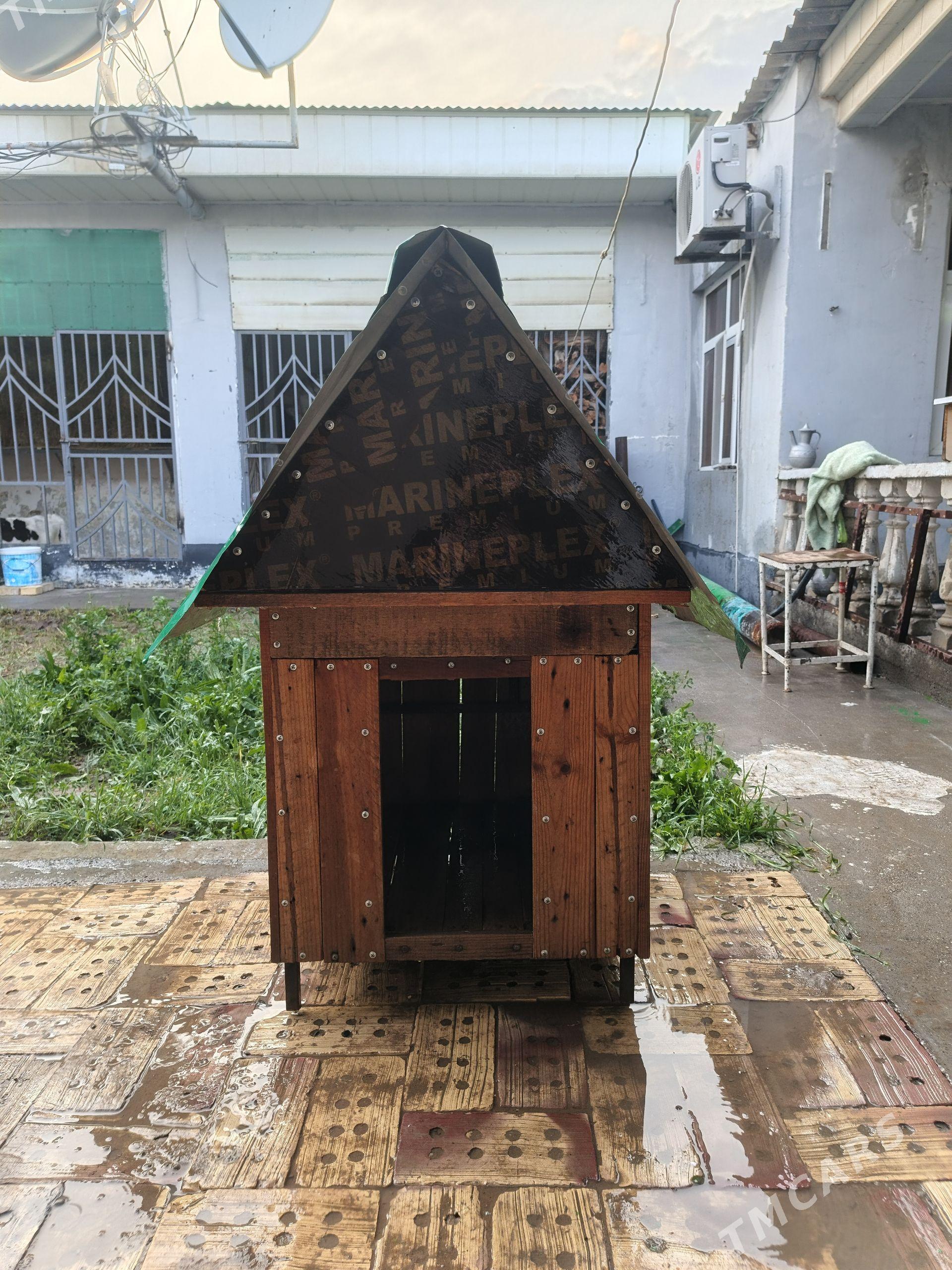 it yatak - Aşgabat - img 1