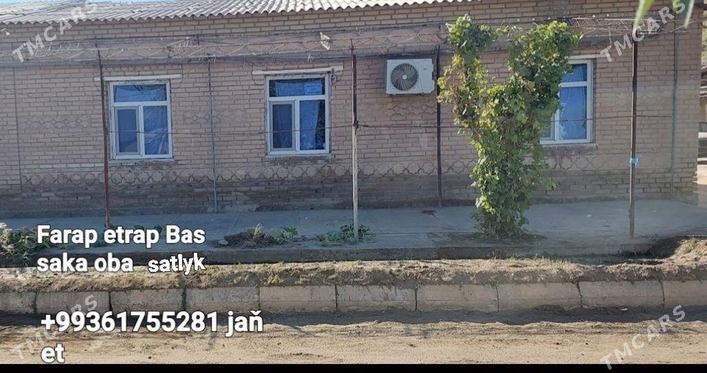 Satlyk jay - Фарап - img 1