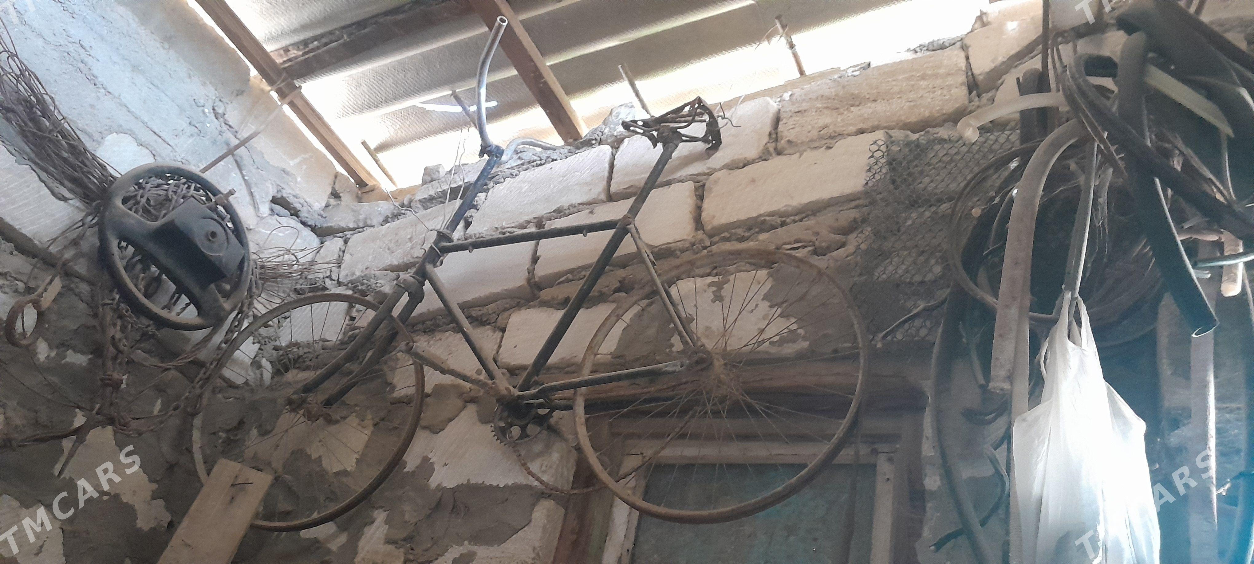 Welik - Gumdag - img 1