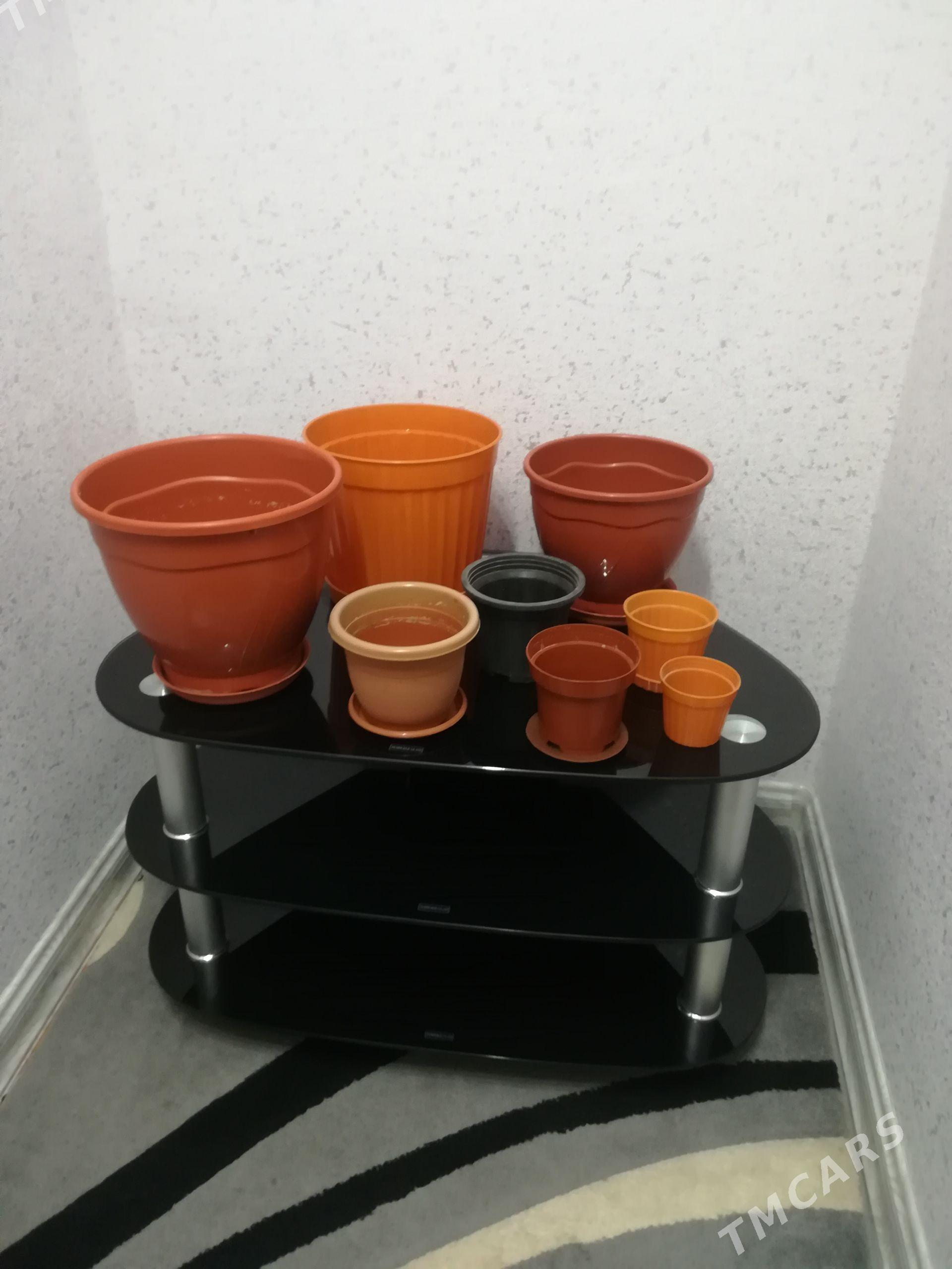 Горшки для комнатных растений - Aşgabat - img 1