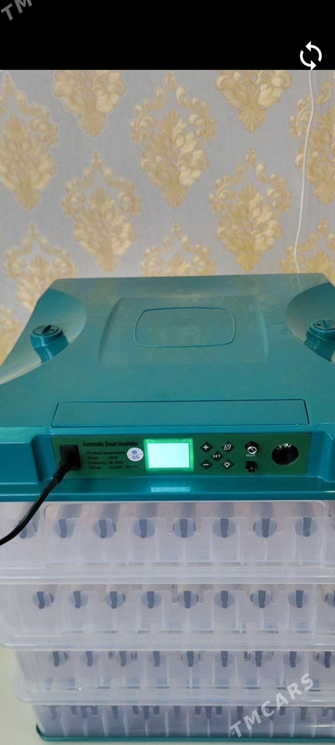 inkuwator smart - Gubadag - img 1