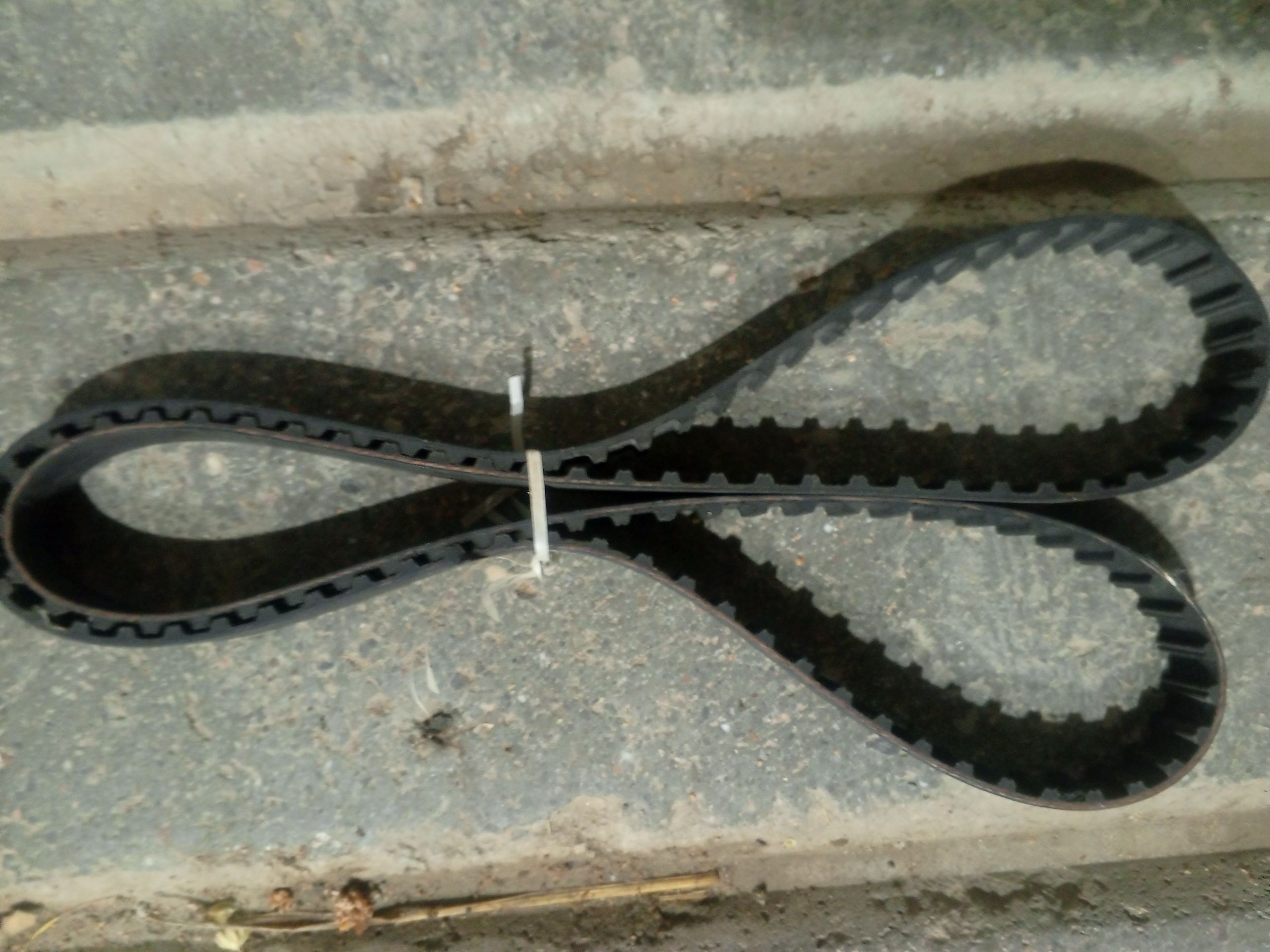 ramen 100 TMT - Änew - img 1