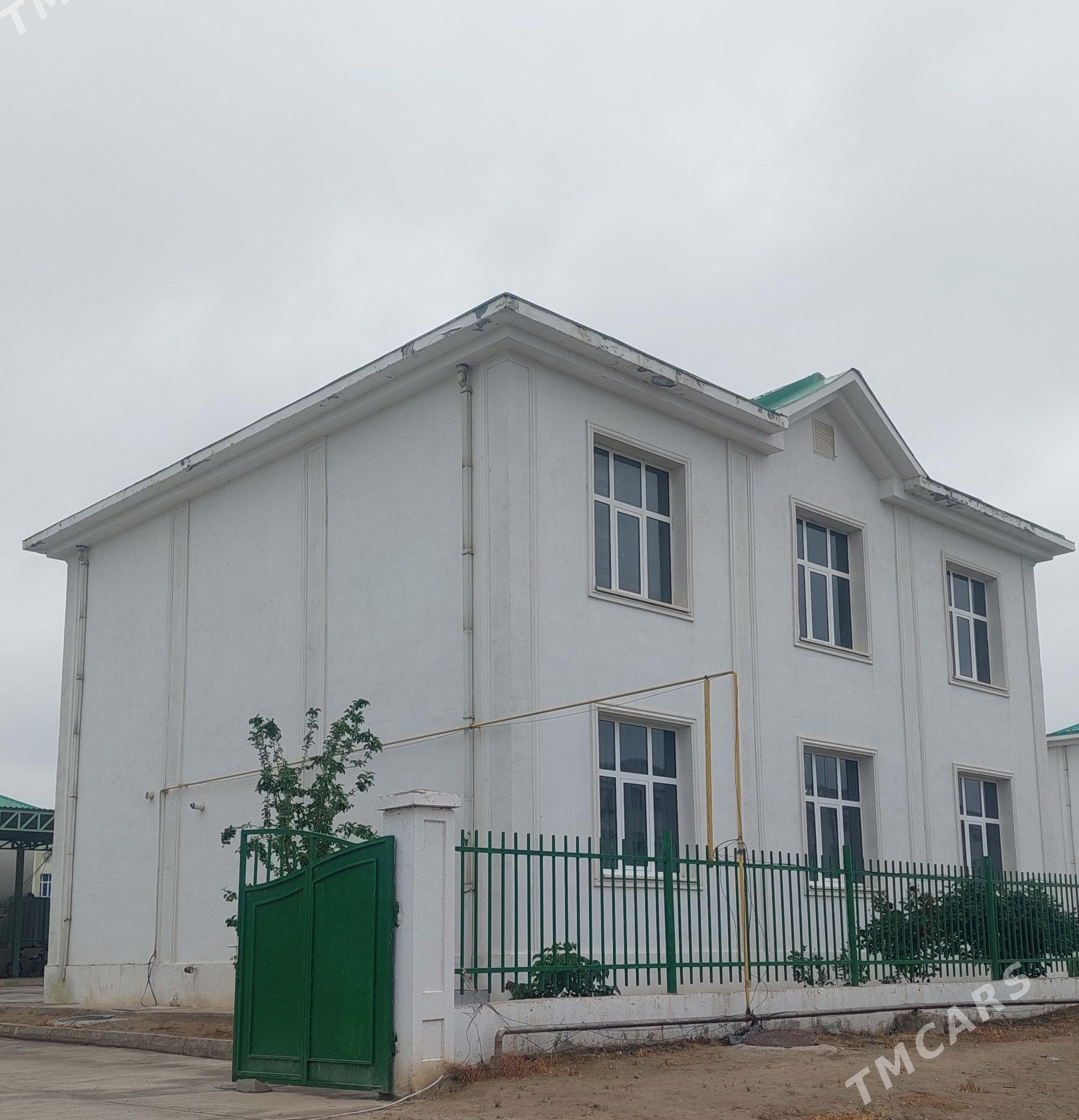 ️ANEW SATLYK KATEŽ️ - Aşgabat - img 1