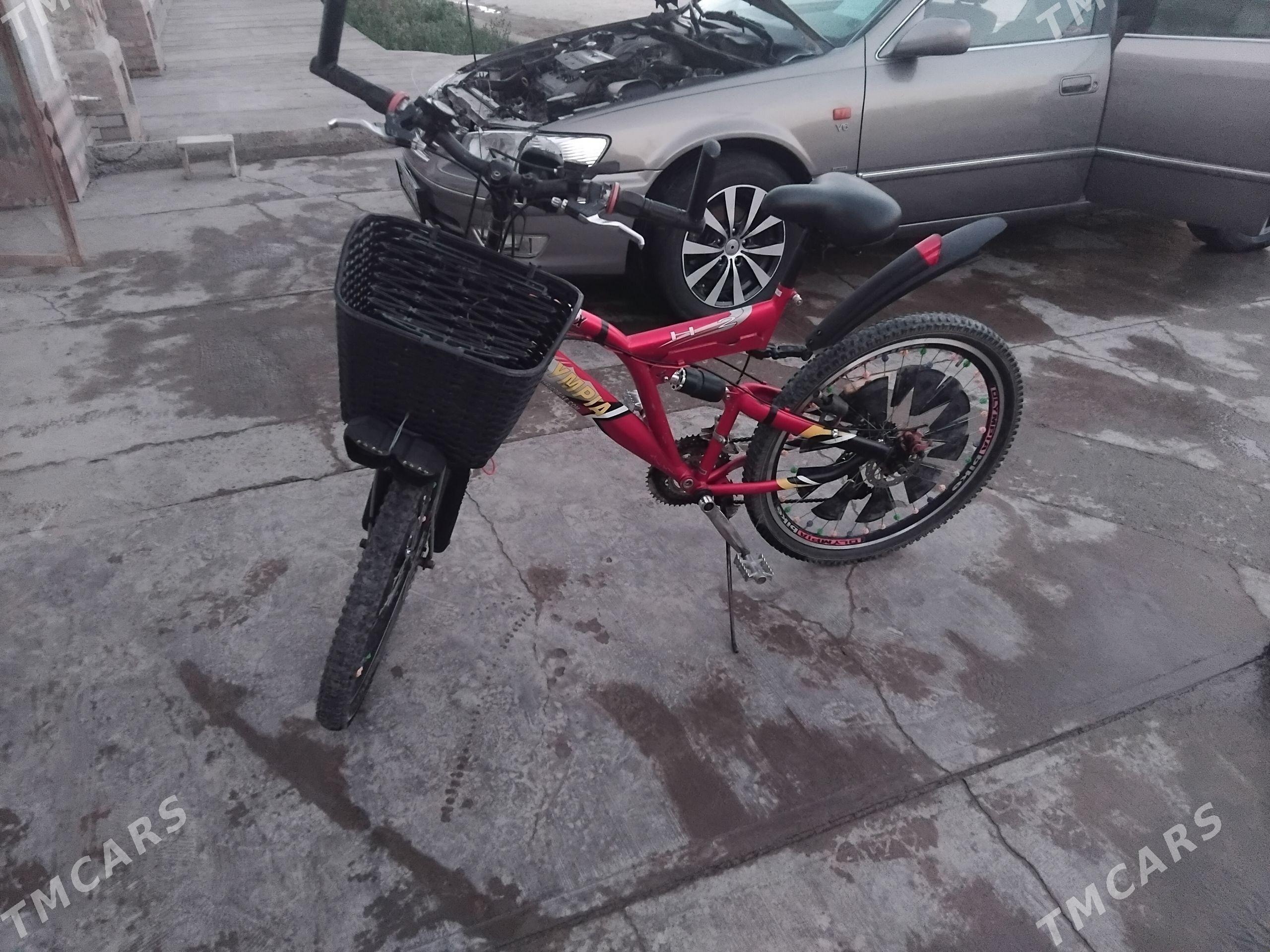 tiger welik - Гурбансолтан Едже - img 1