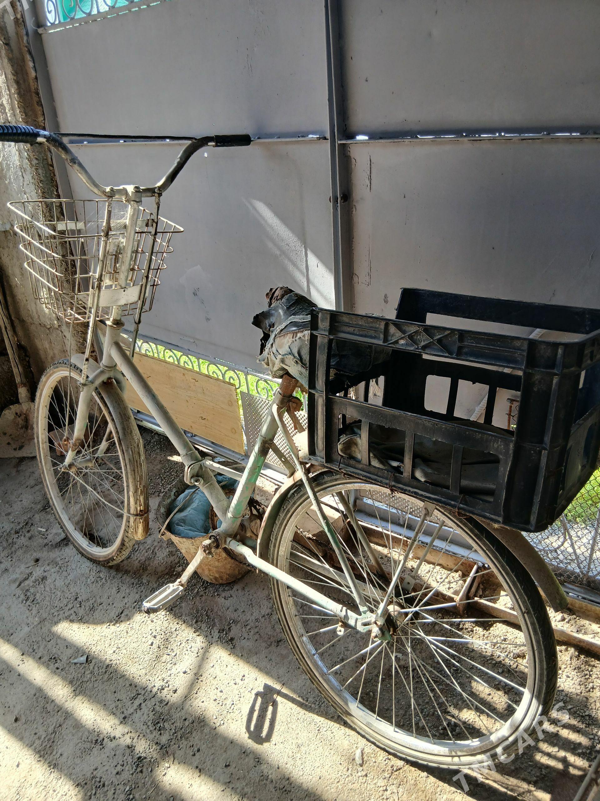 Tigir - Гёкдепе - img 1