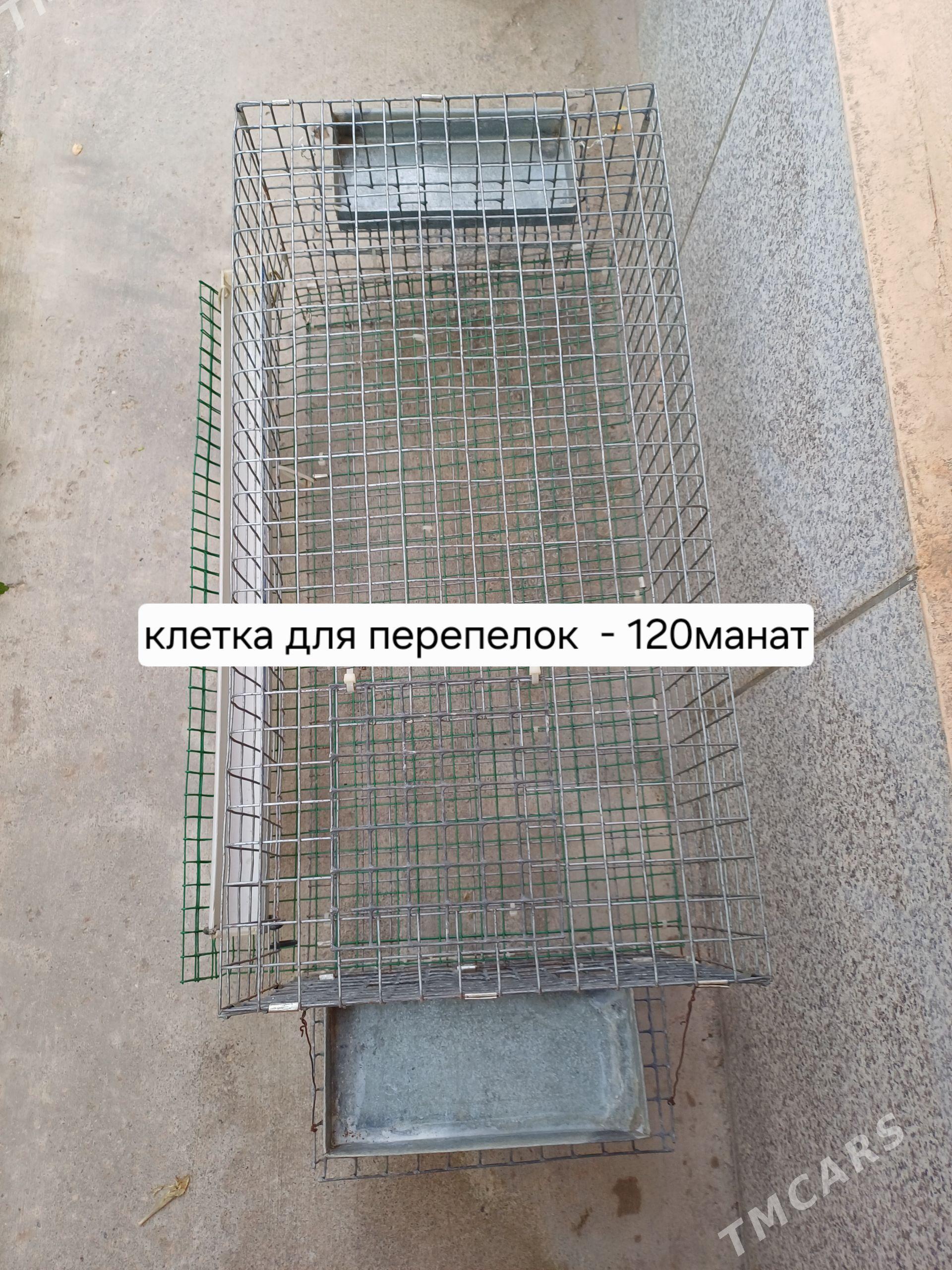 Клетки для перепелок. - Район ст. Аэропорта, ул. Гагарина - img 1