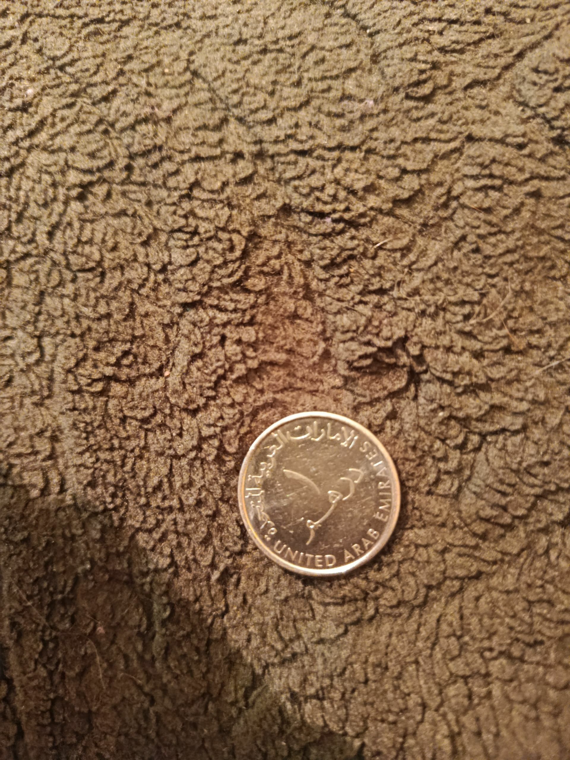 монета - Туркменбаши - img 1