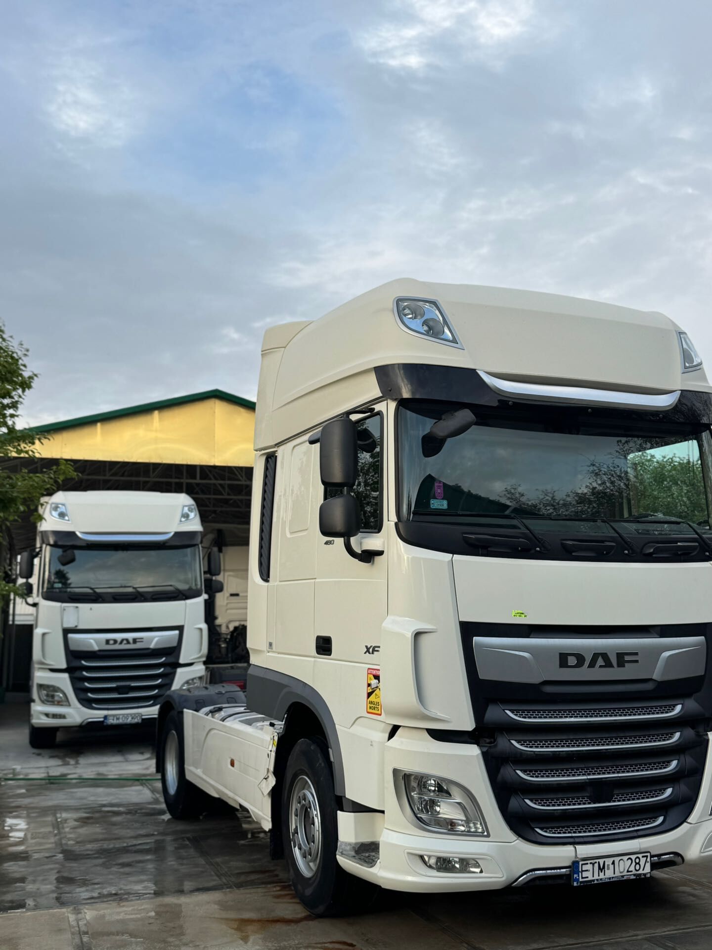 DAF 480 2021 - 760 000 TMT - Aşgabat - img 1