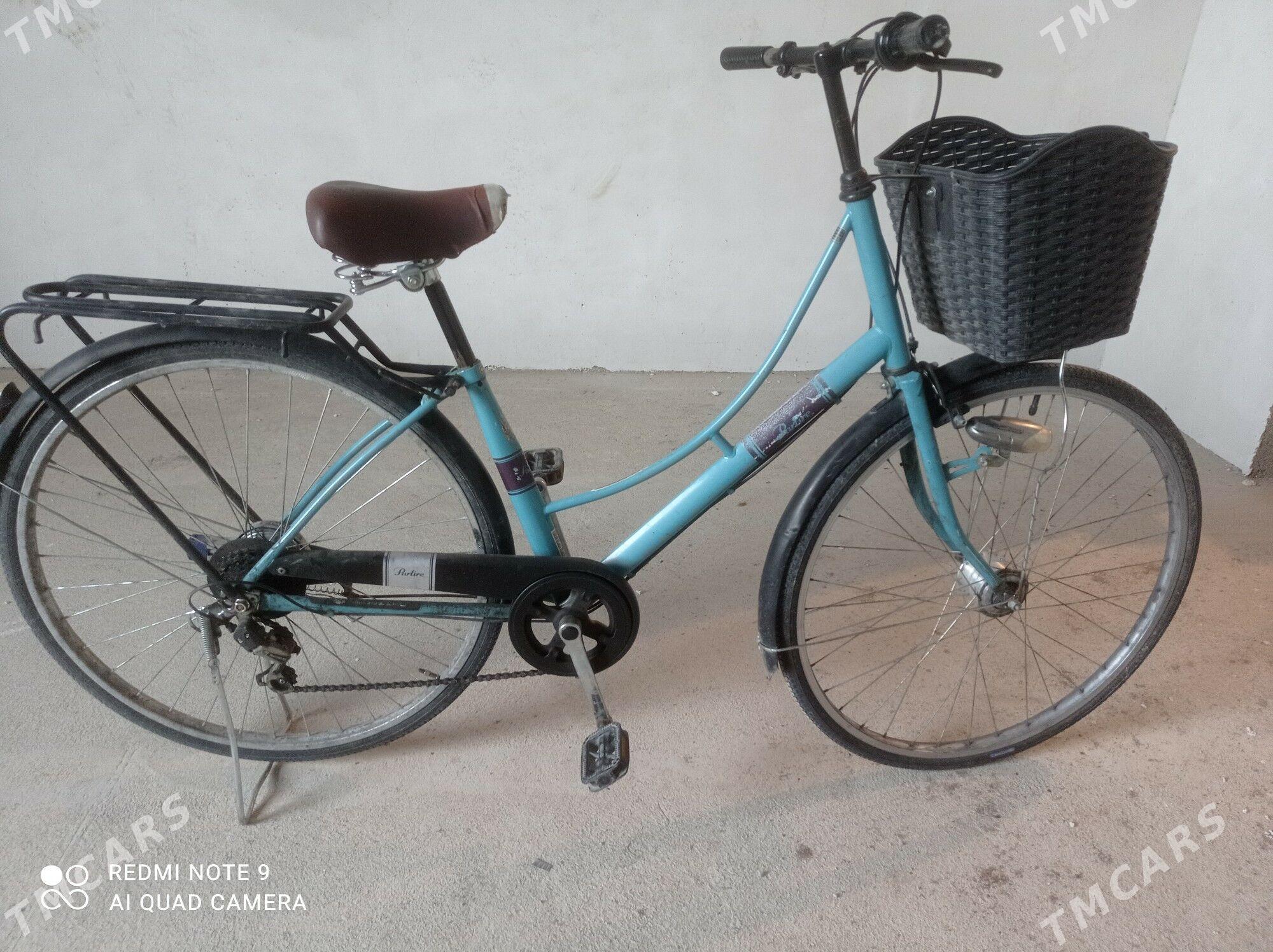 тигир - Гурбансолтан Едже - img 1