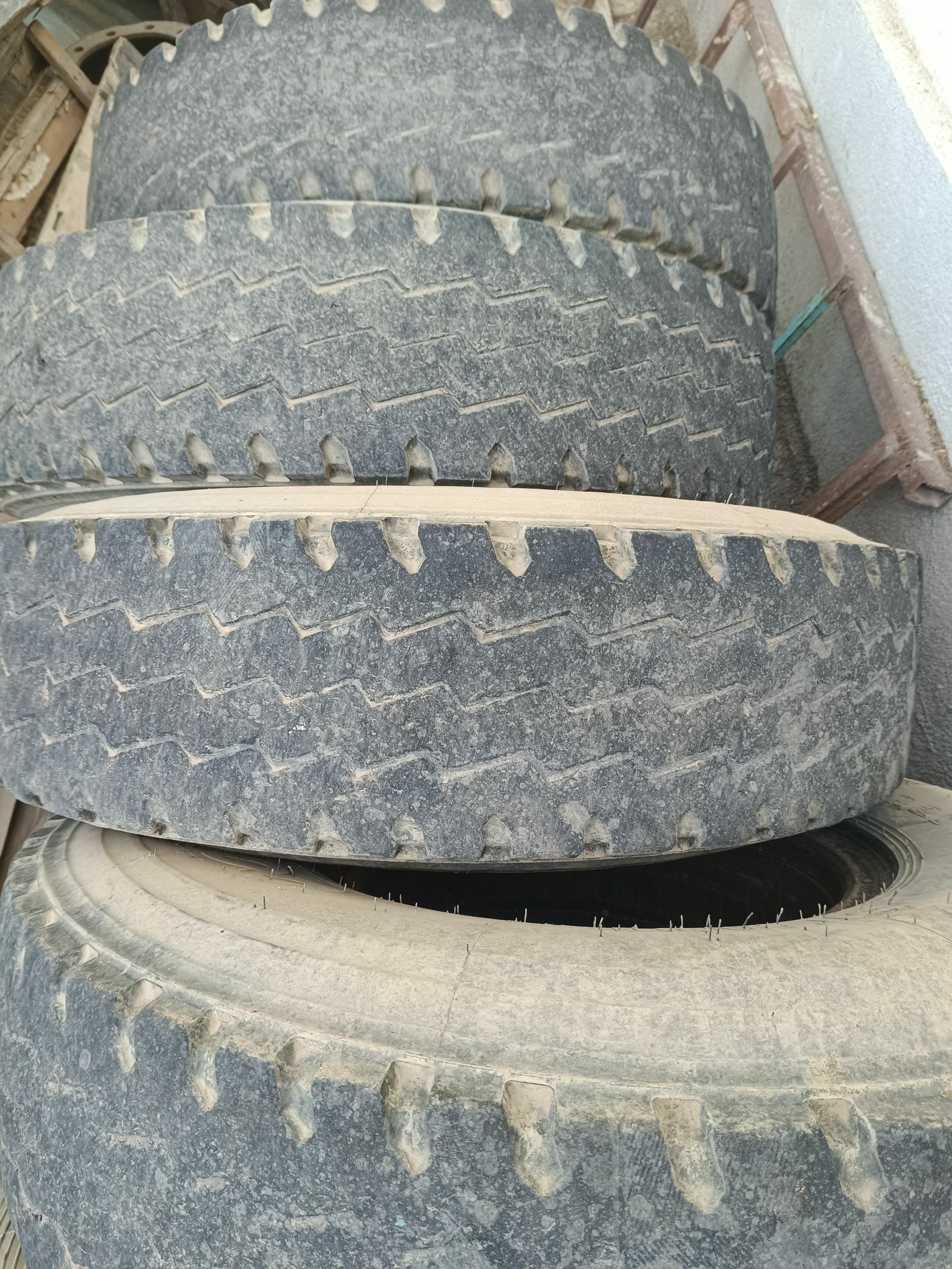 Teker 12 550 TMT - Анев - img 1