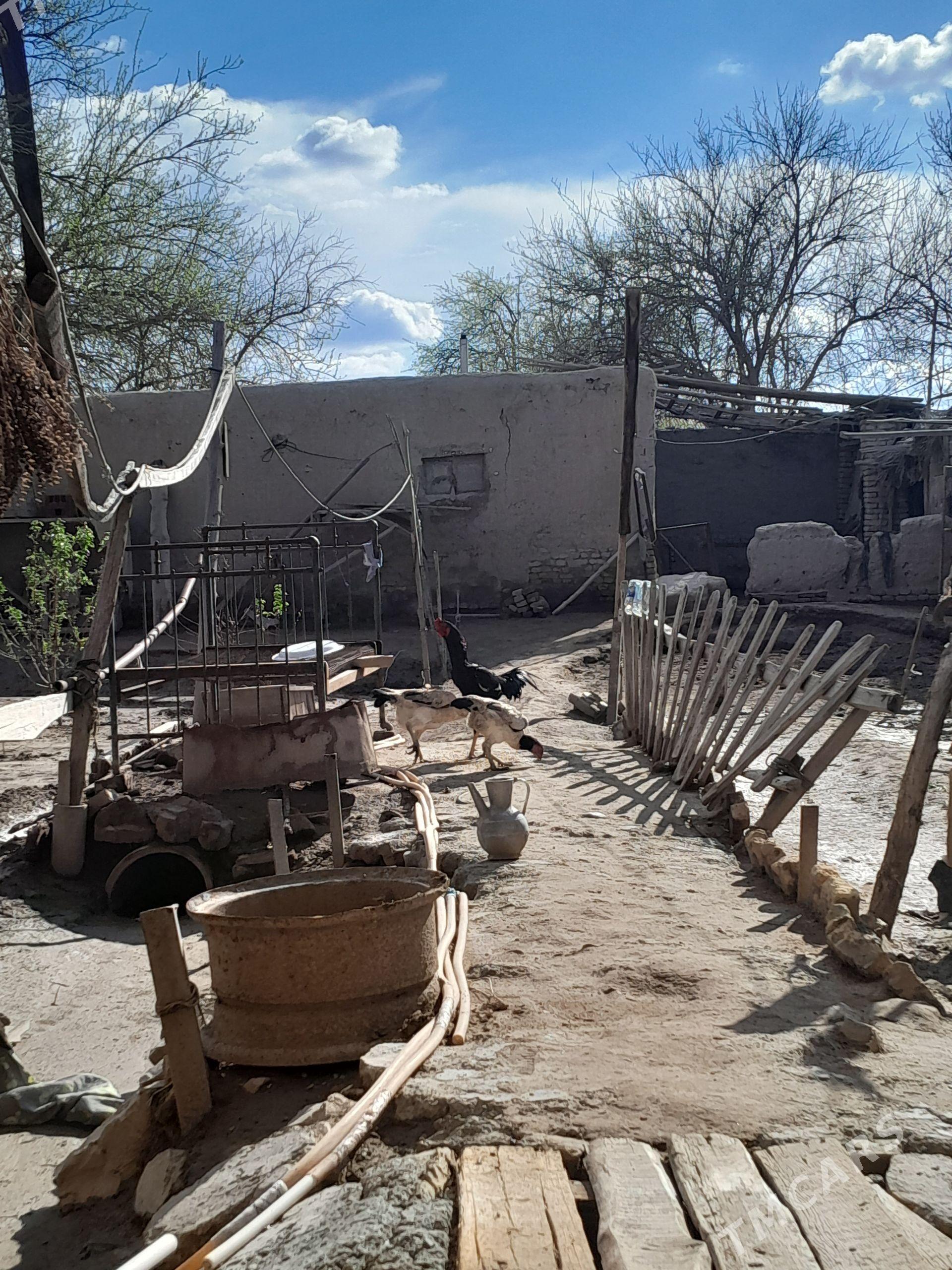 horaz - Шабатский этрап - img 1