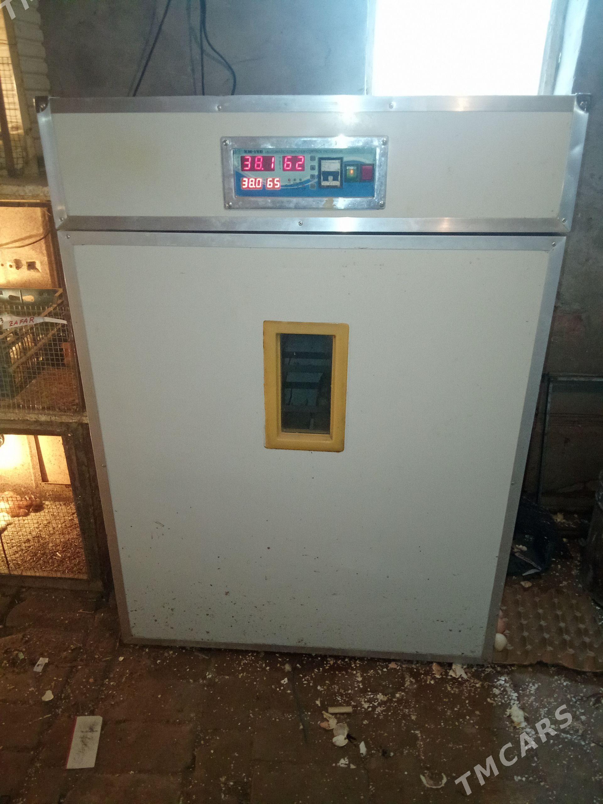 Inkubator. Инкубатор - Туркменабат - img 1