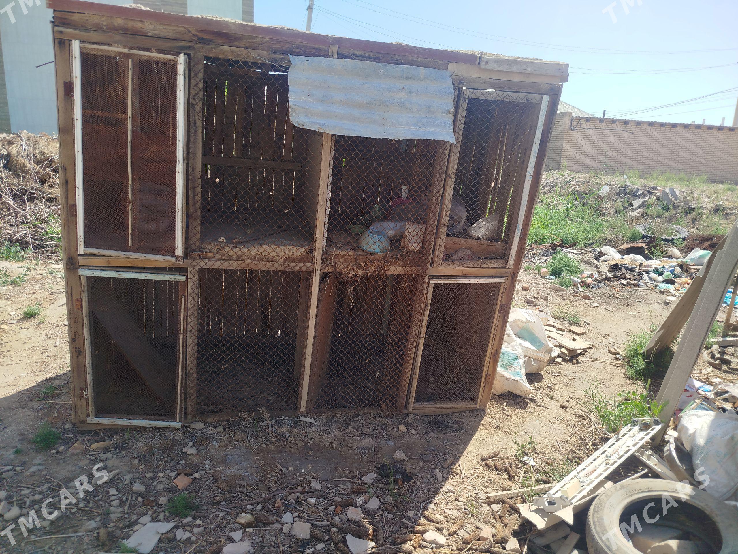 Horaz yatak. - Wekilbazar - img 1