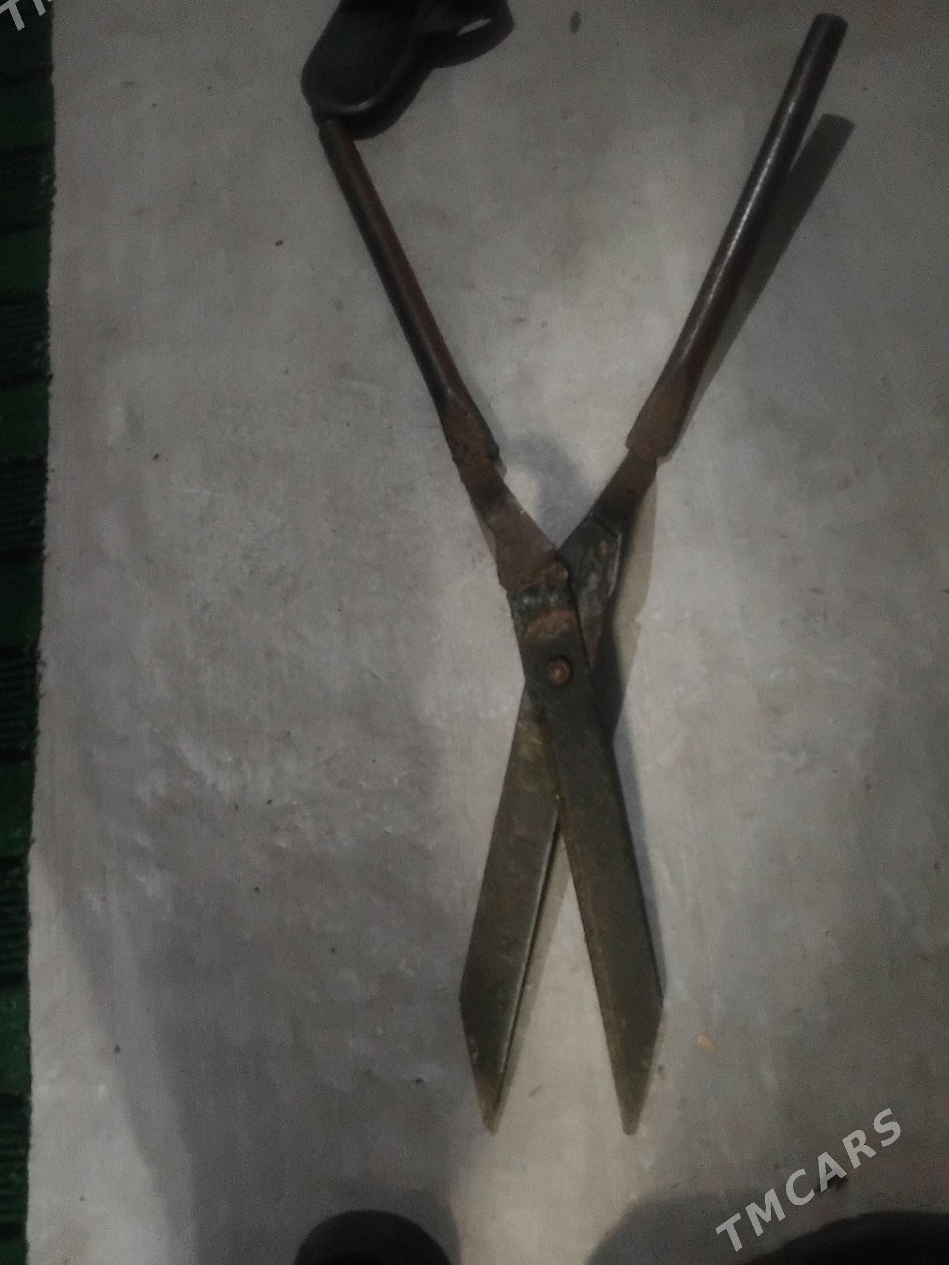 Gaýçy/Ножницы - Бузмеин ГРЭС - img 1