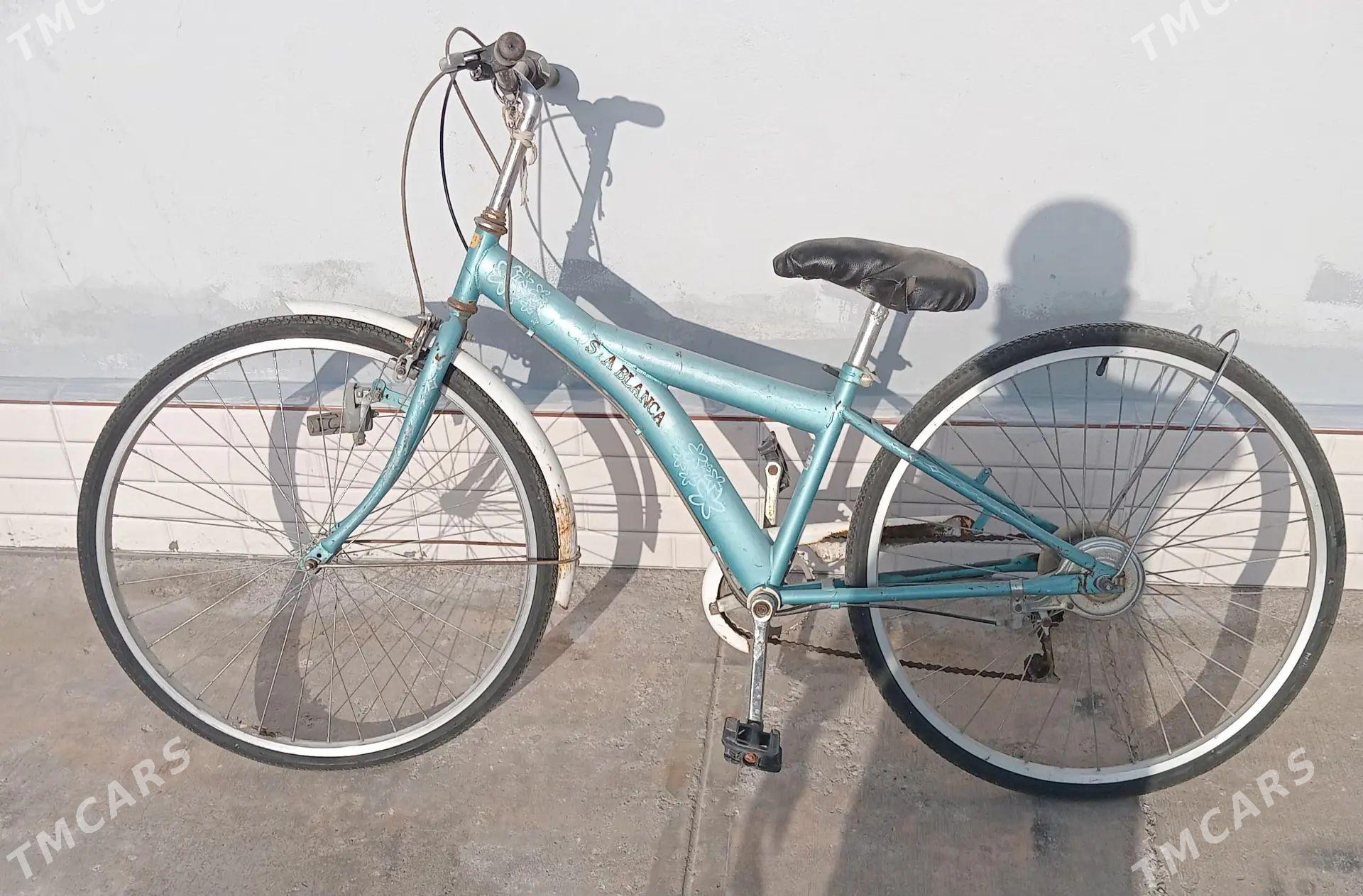 Tigir - Howdan "W" - img 1