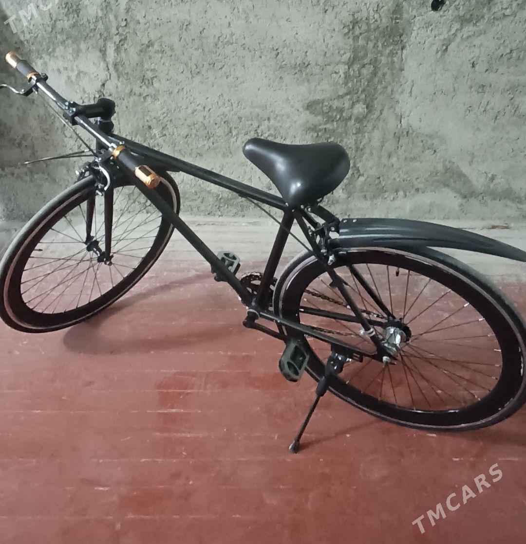 sport tigr - Ашхабад - img 1