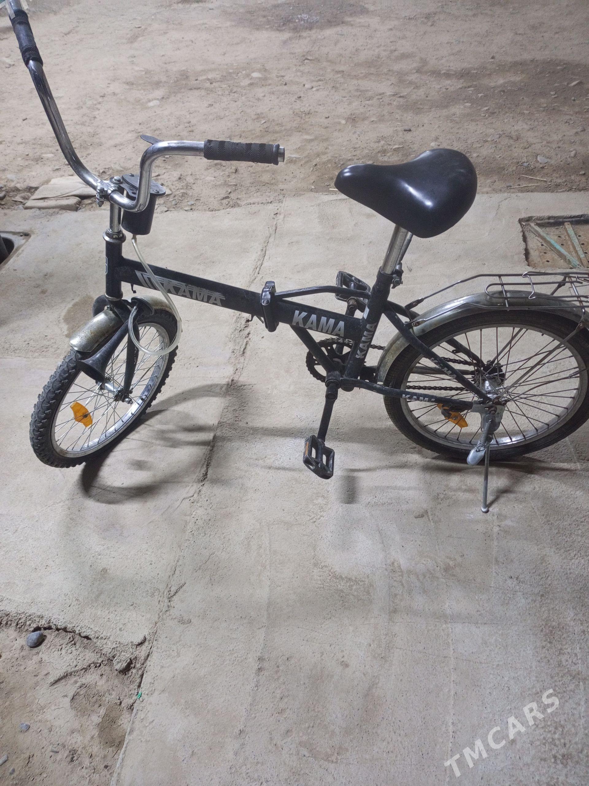 welesiped - Tejen - img 1