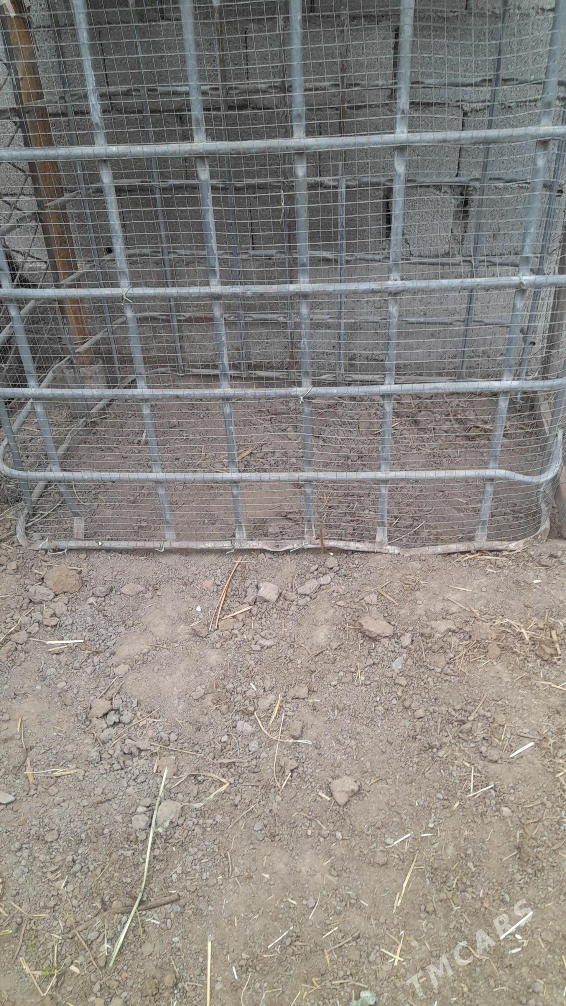 ketek - Багир - img 1