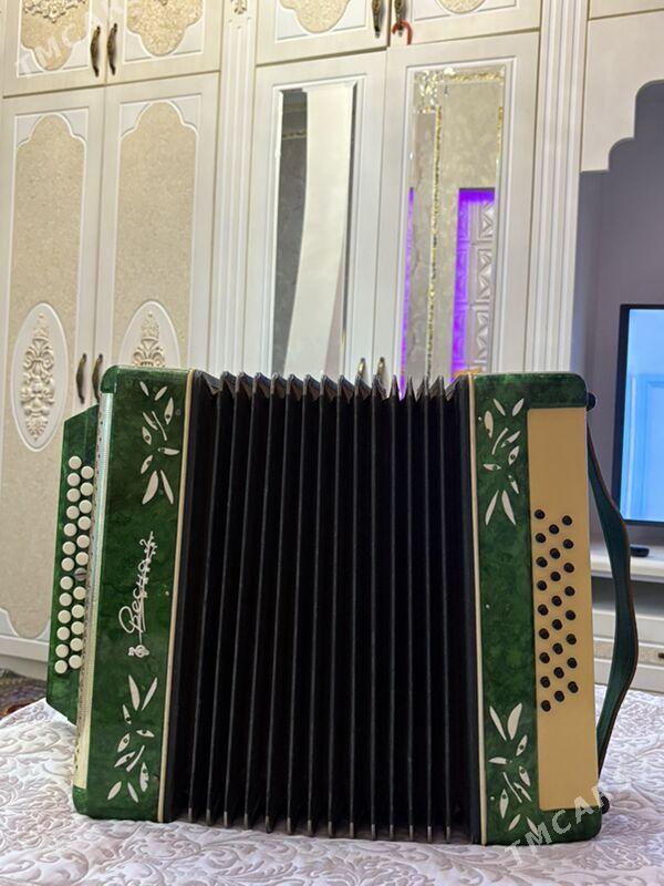 Bayan(Akardeon) - Aşgabat - img 1