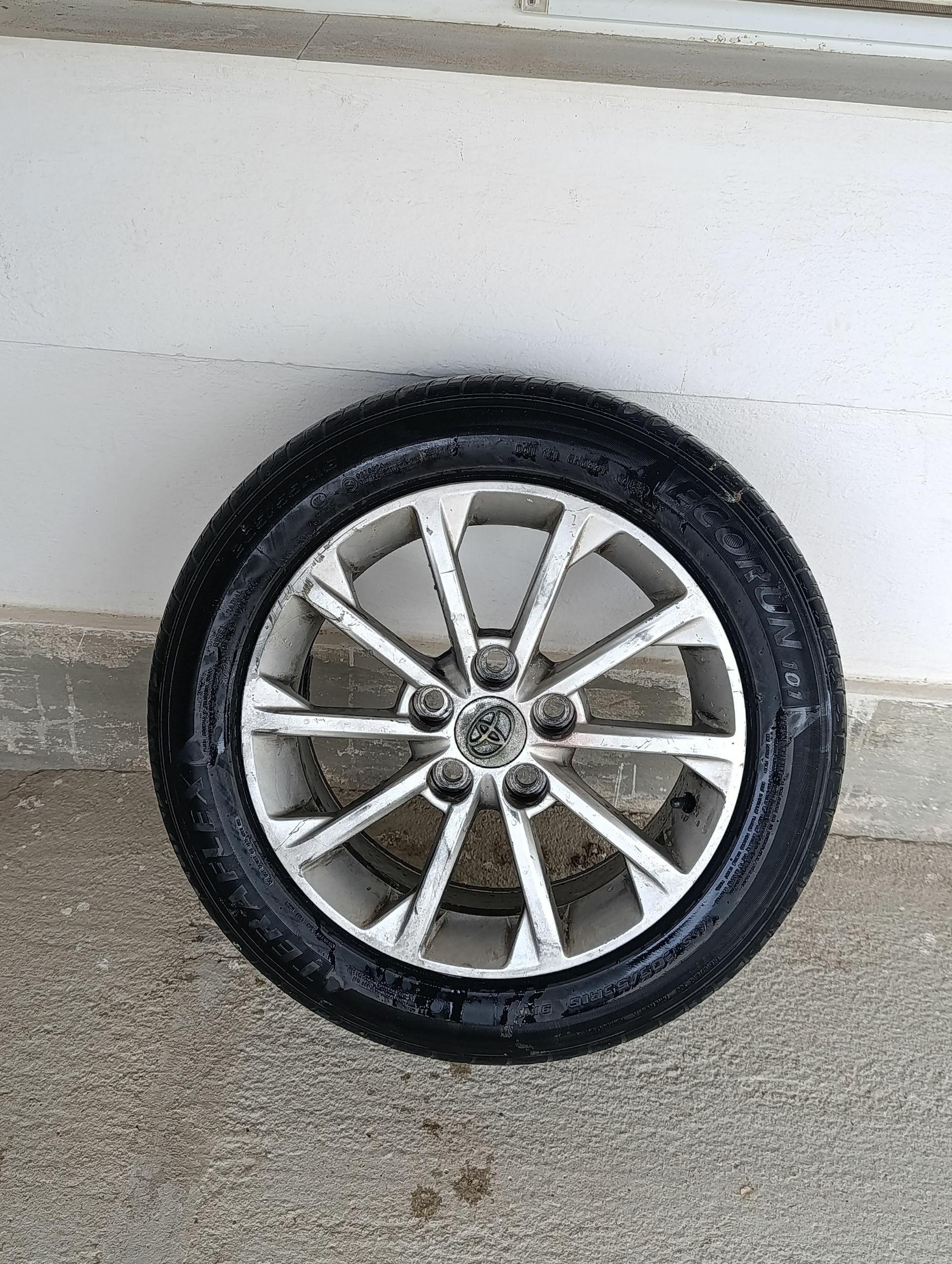 daisga le 1 000 TMT - Балканабат - img 1