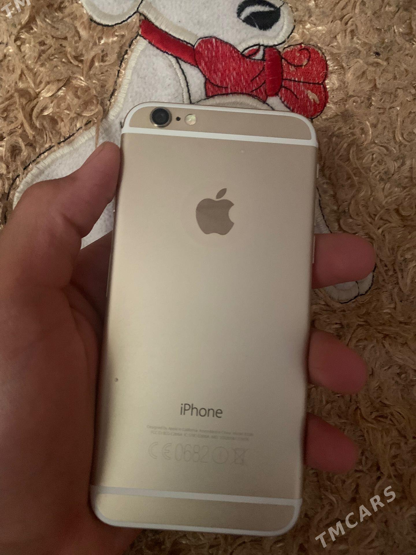iPhone 6 - Sakarçäge - img 1