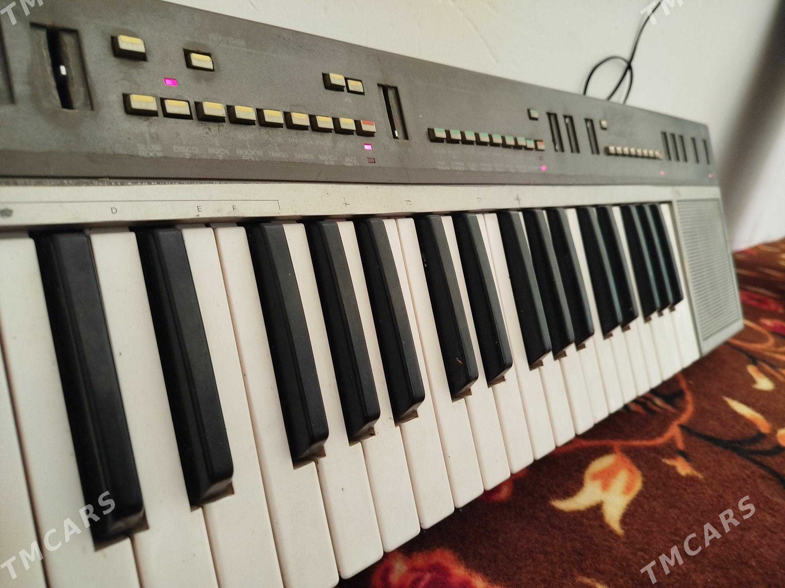 Yamaha 55 - Mary - img 1