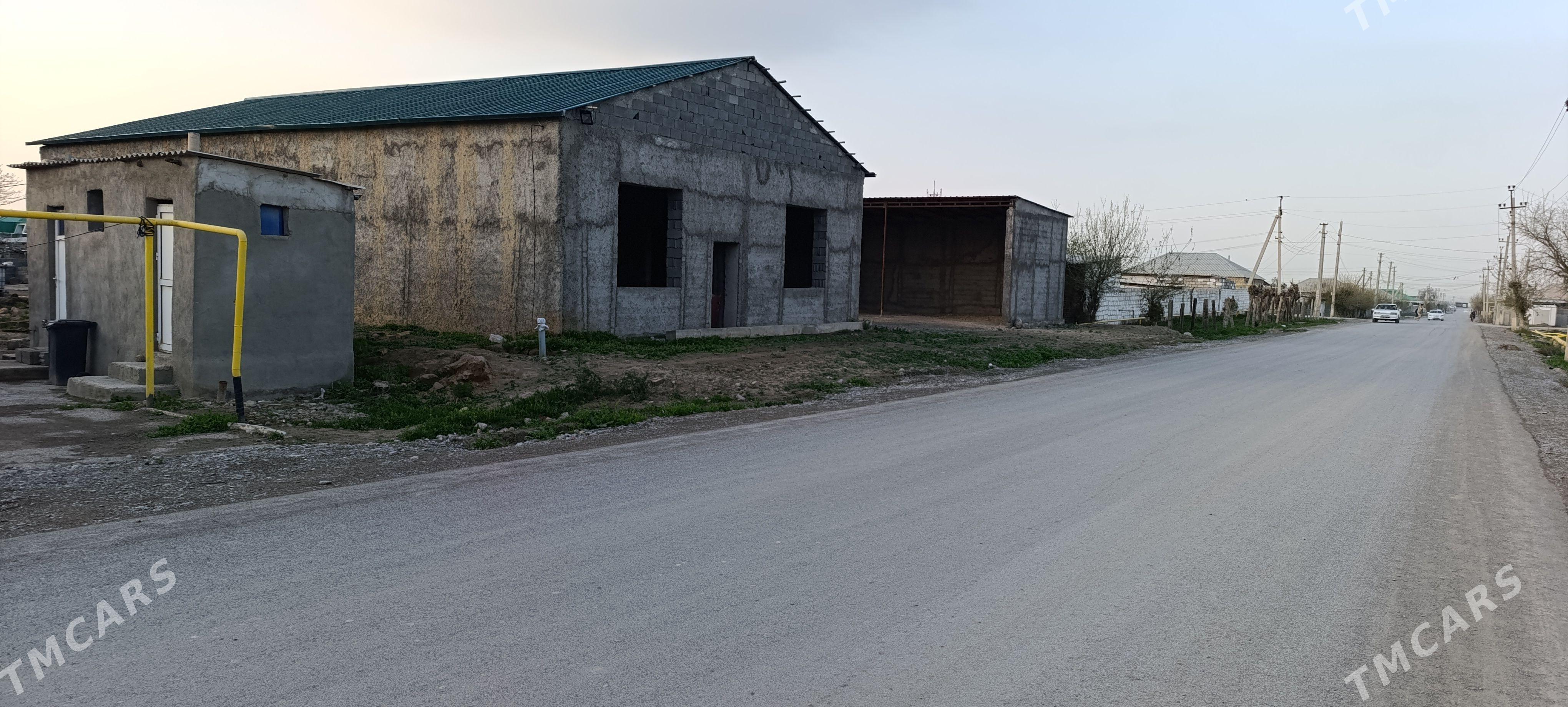 Berekeyli zaman Gawers - Ak bugdaý etraby - img 1