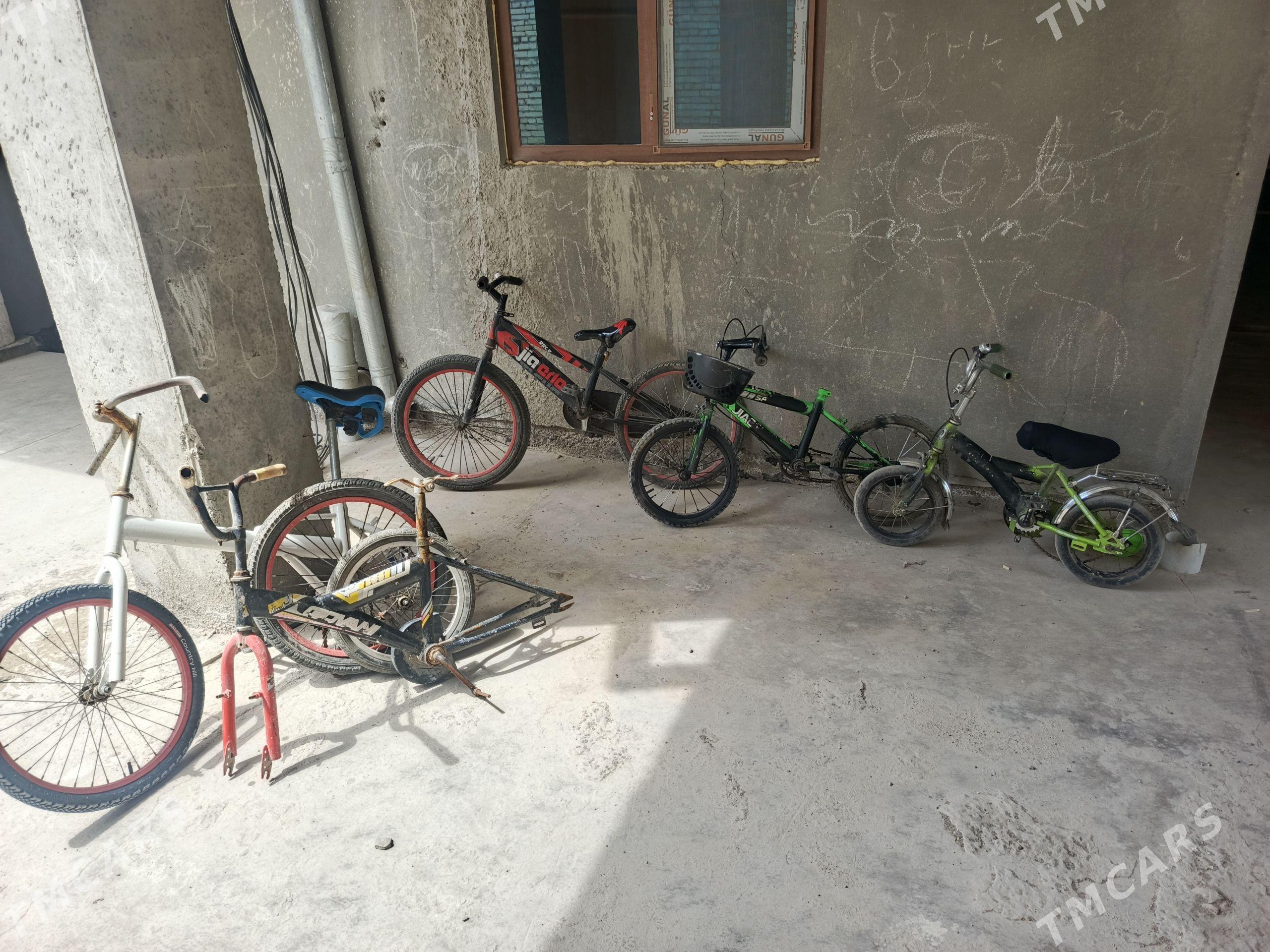 welikler - Türkmenabat - img 1
