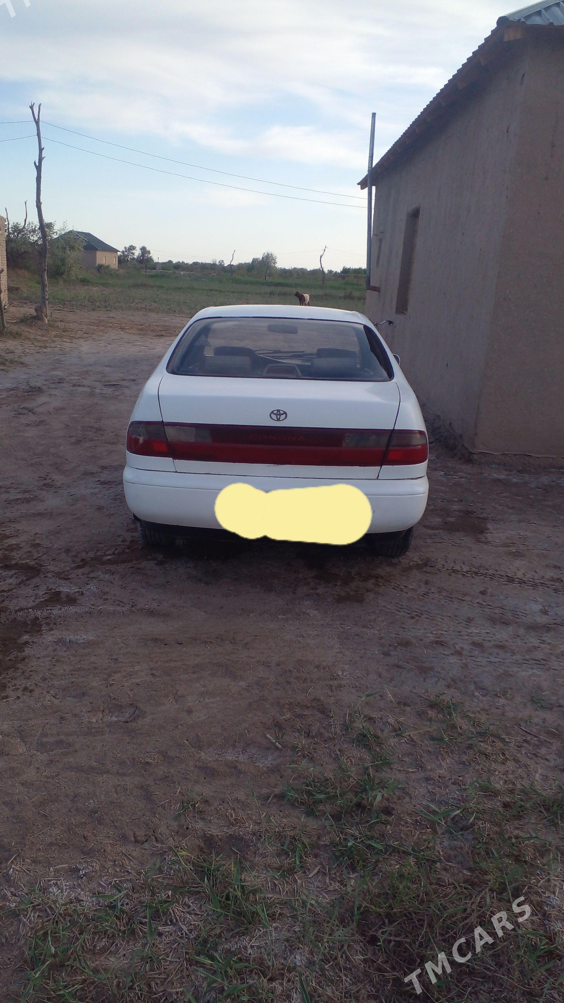 Toyota Corona 1992 - 65 000 TMT - Köneürgenç - img 1