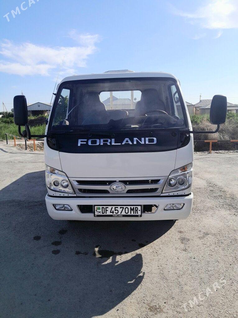 Forland H2 2014 - 135 000 TMT - Мары - img 1