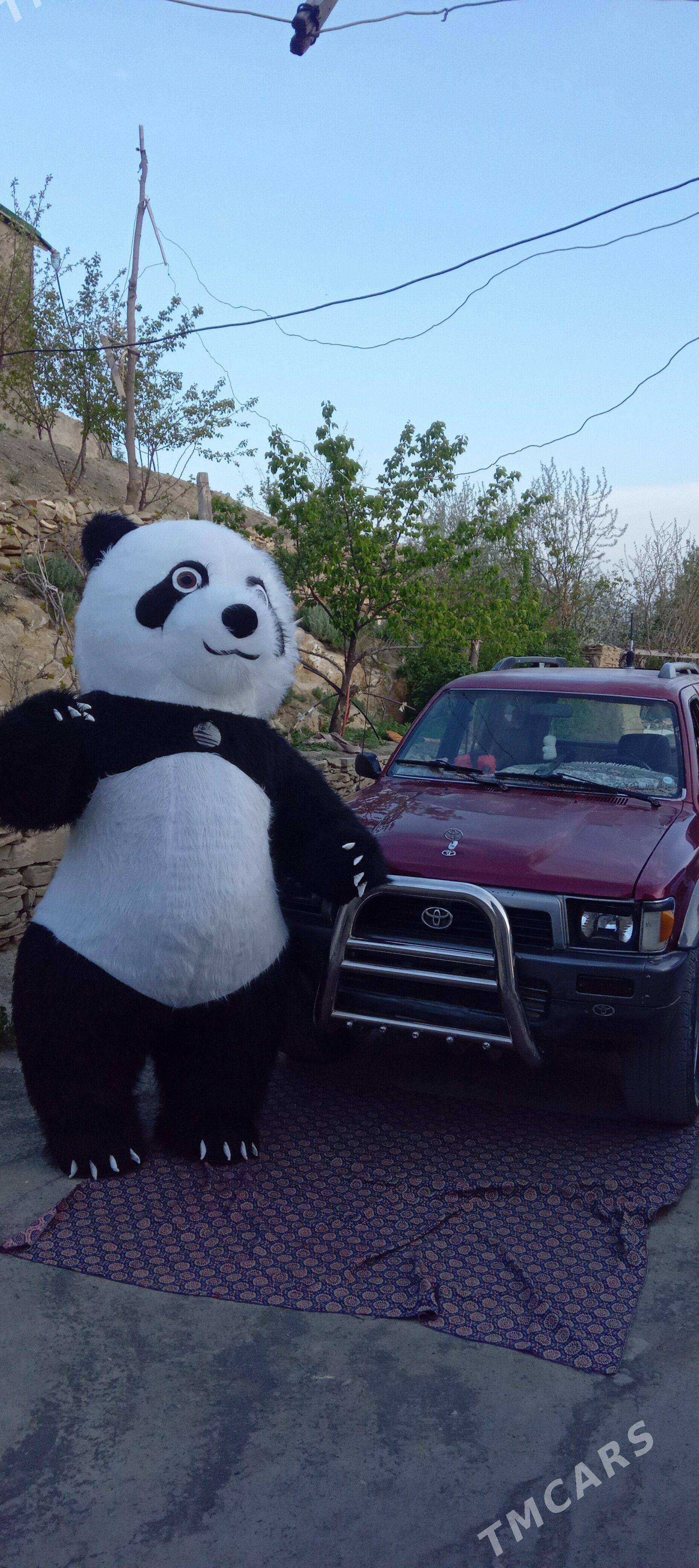 mişka panda - Бахарден - img 1