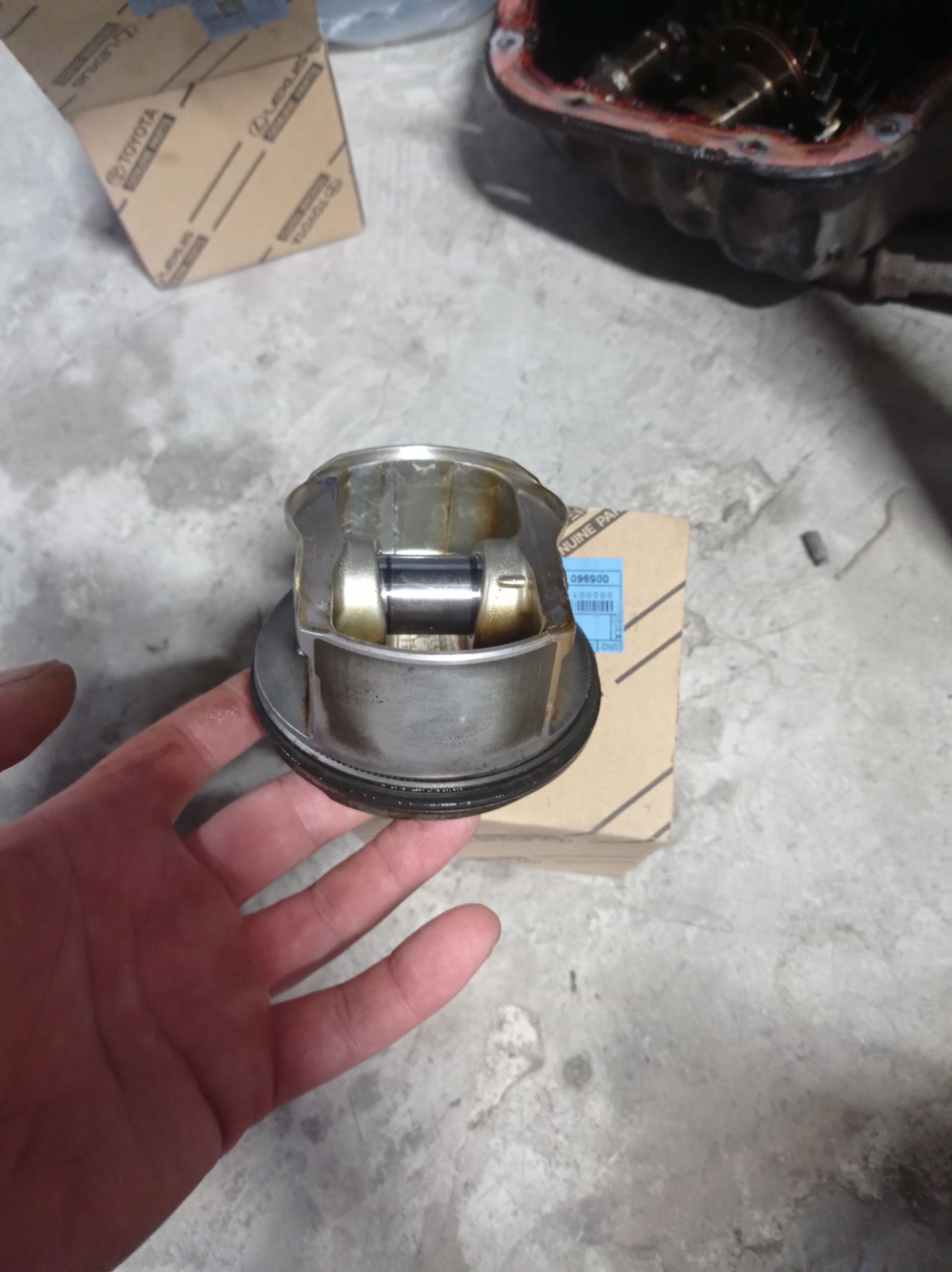2.7 porsun 800 TMT - Bedew - img 1