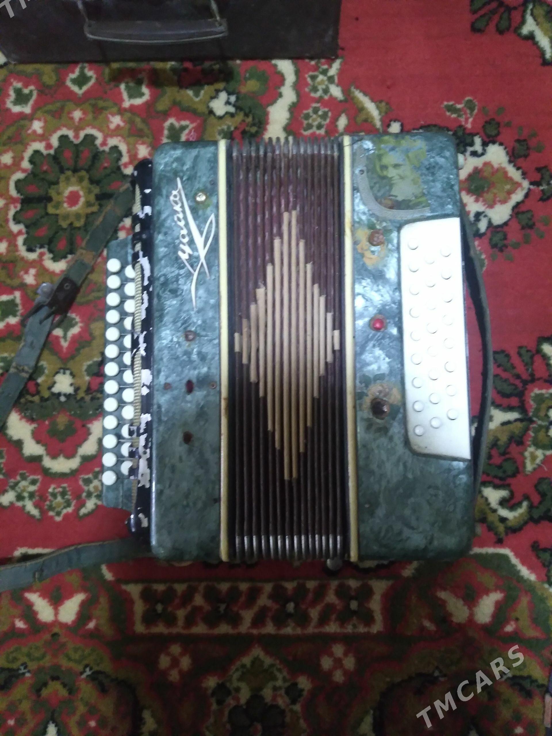 bayan/баян - Daşoguz - img 1
