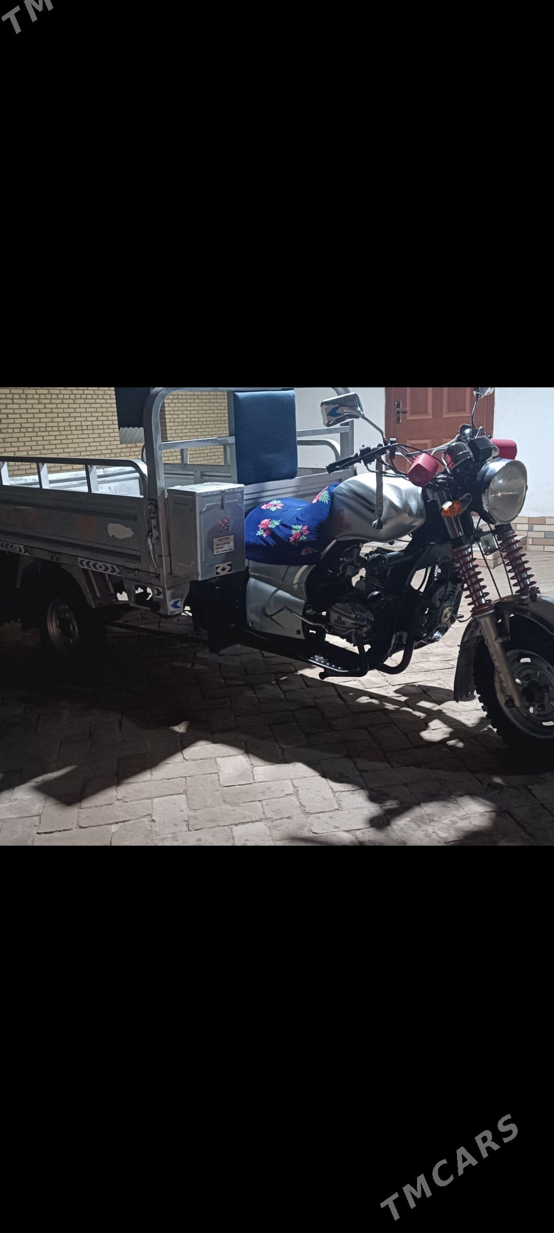 Ozan 200CC 2022 - 18 000 TMT - Halaç - img 1
