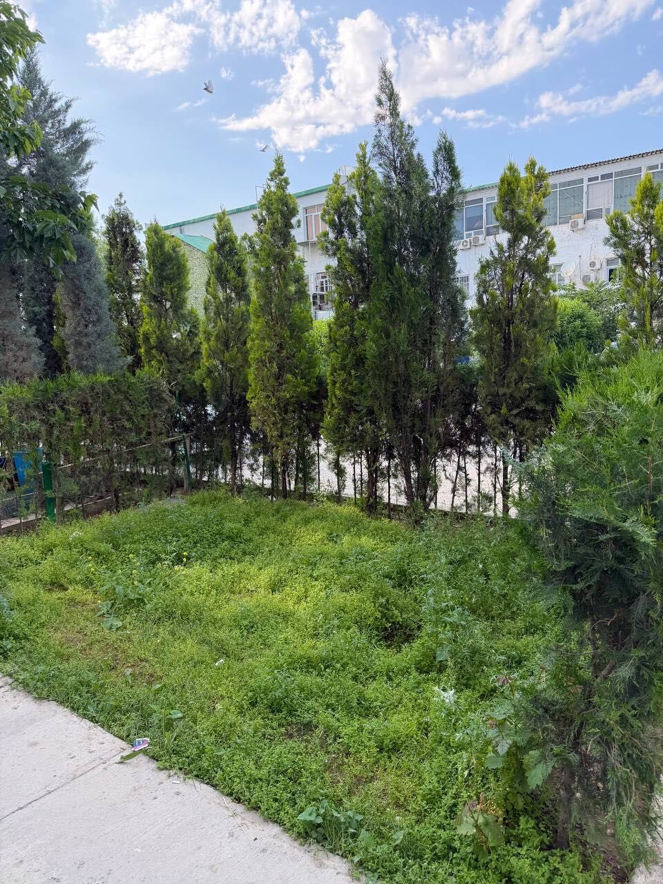 1mkr 11mkr 1etaj 2kom - Aşgabat - img 1