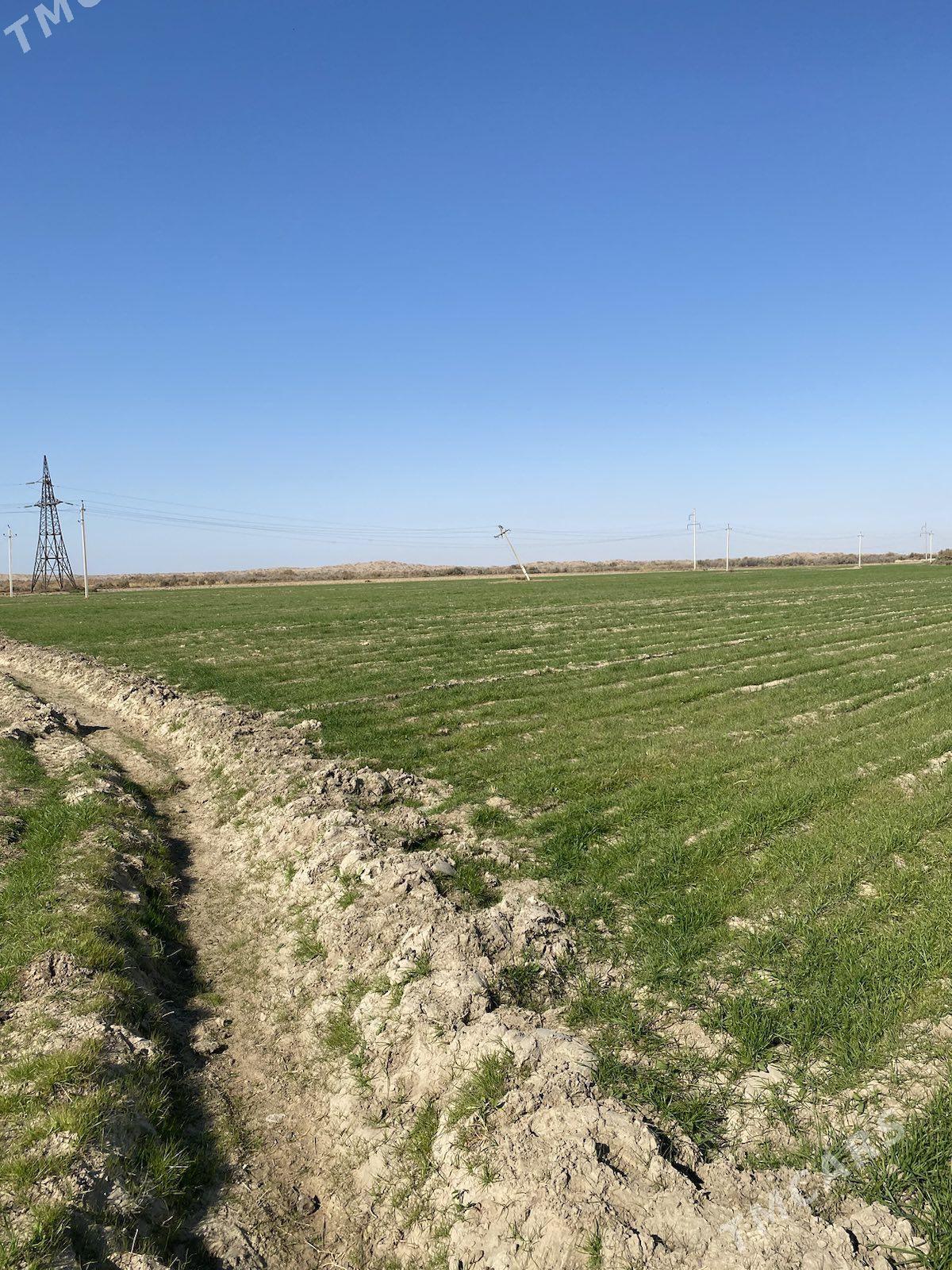 Satlyk mellek yer - Гёкдепе - img 1