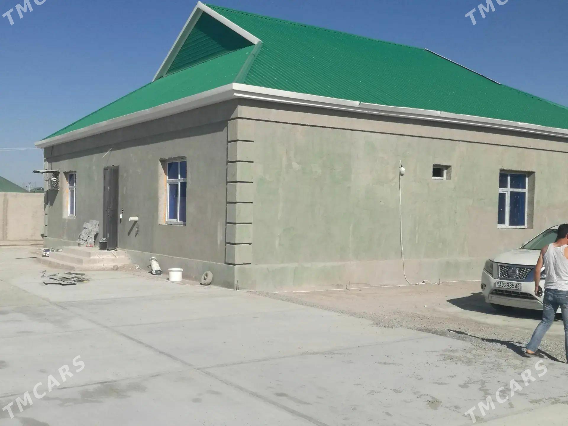 Anew onnaly 12 sotyk baha 49 - Ak bugdaý etraby - img 1