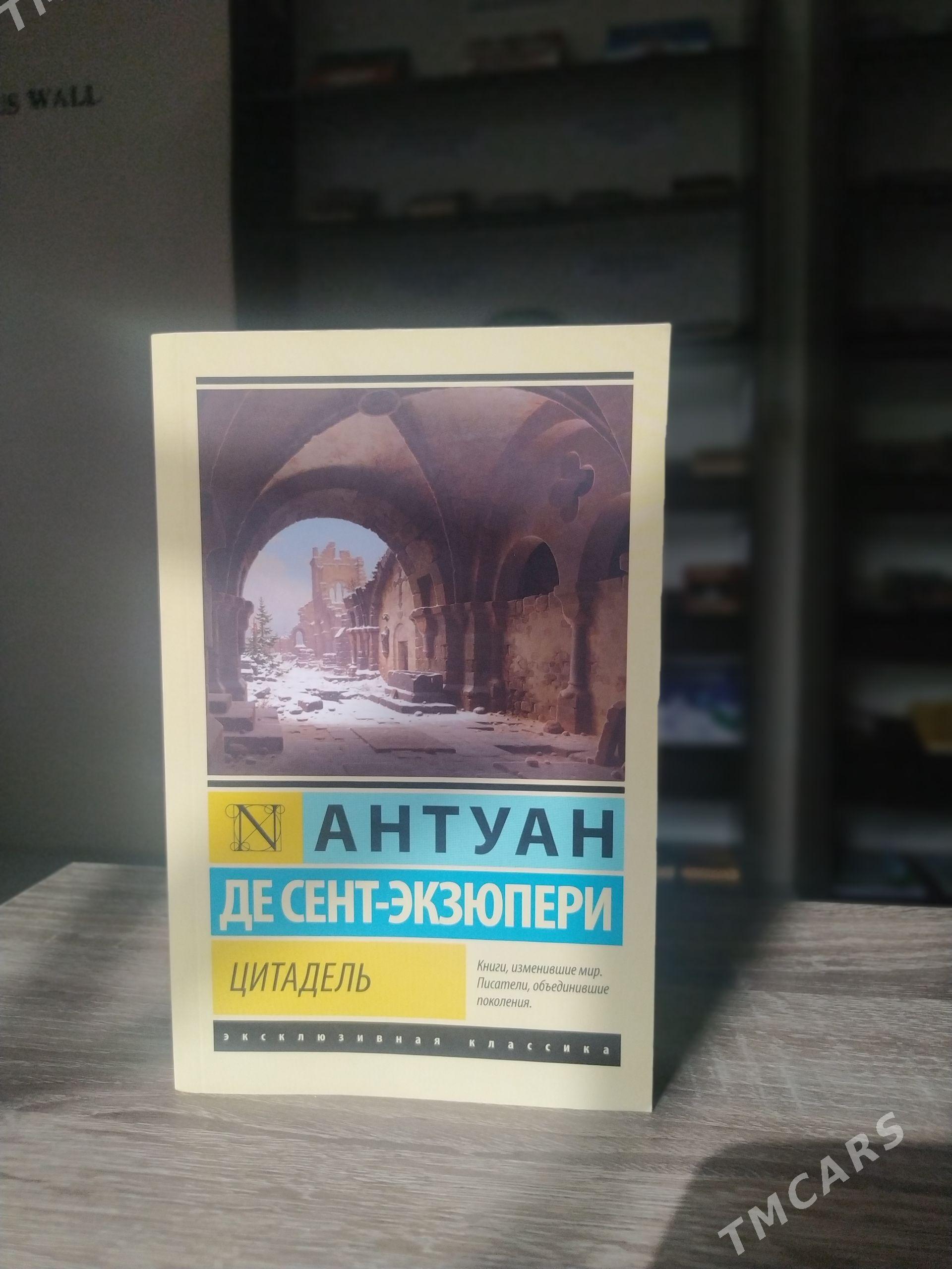 Антуан Де Сент Экзюпери - Мары - img 1