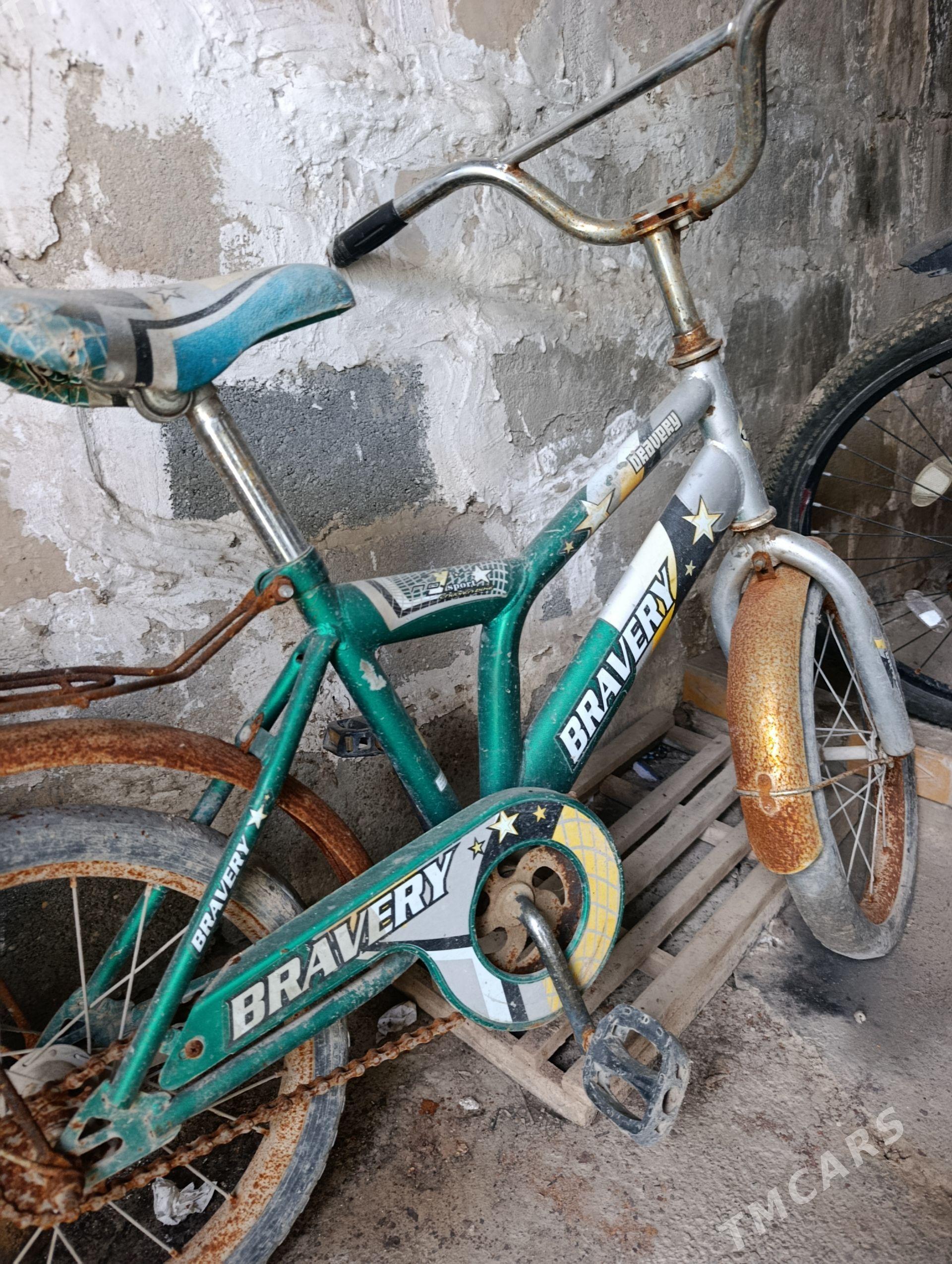 Welosapet - Ruhabat (90-njy razýezd) - img 1