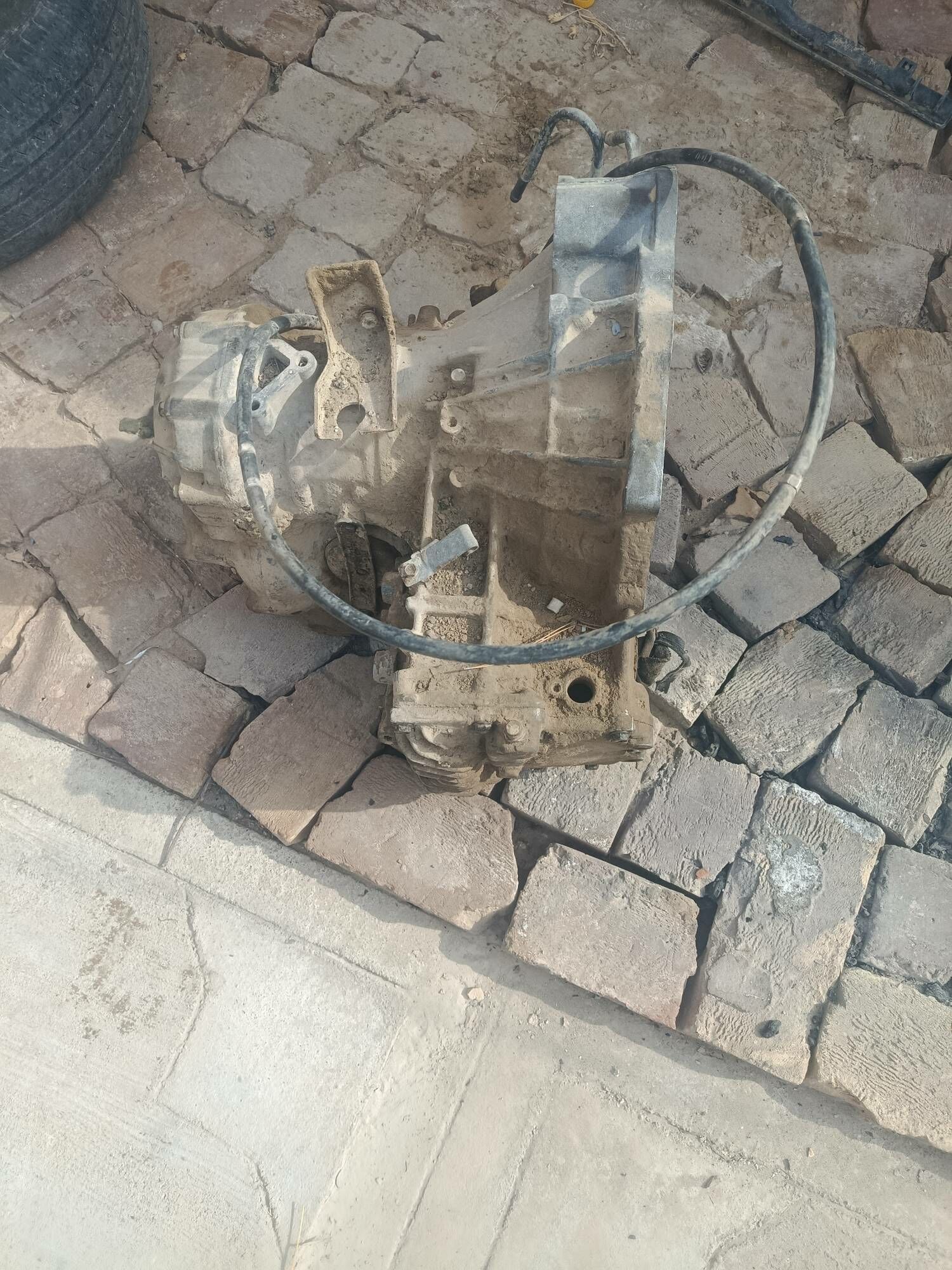 karopga 1 000 TMT - Garabekewül - img 1