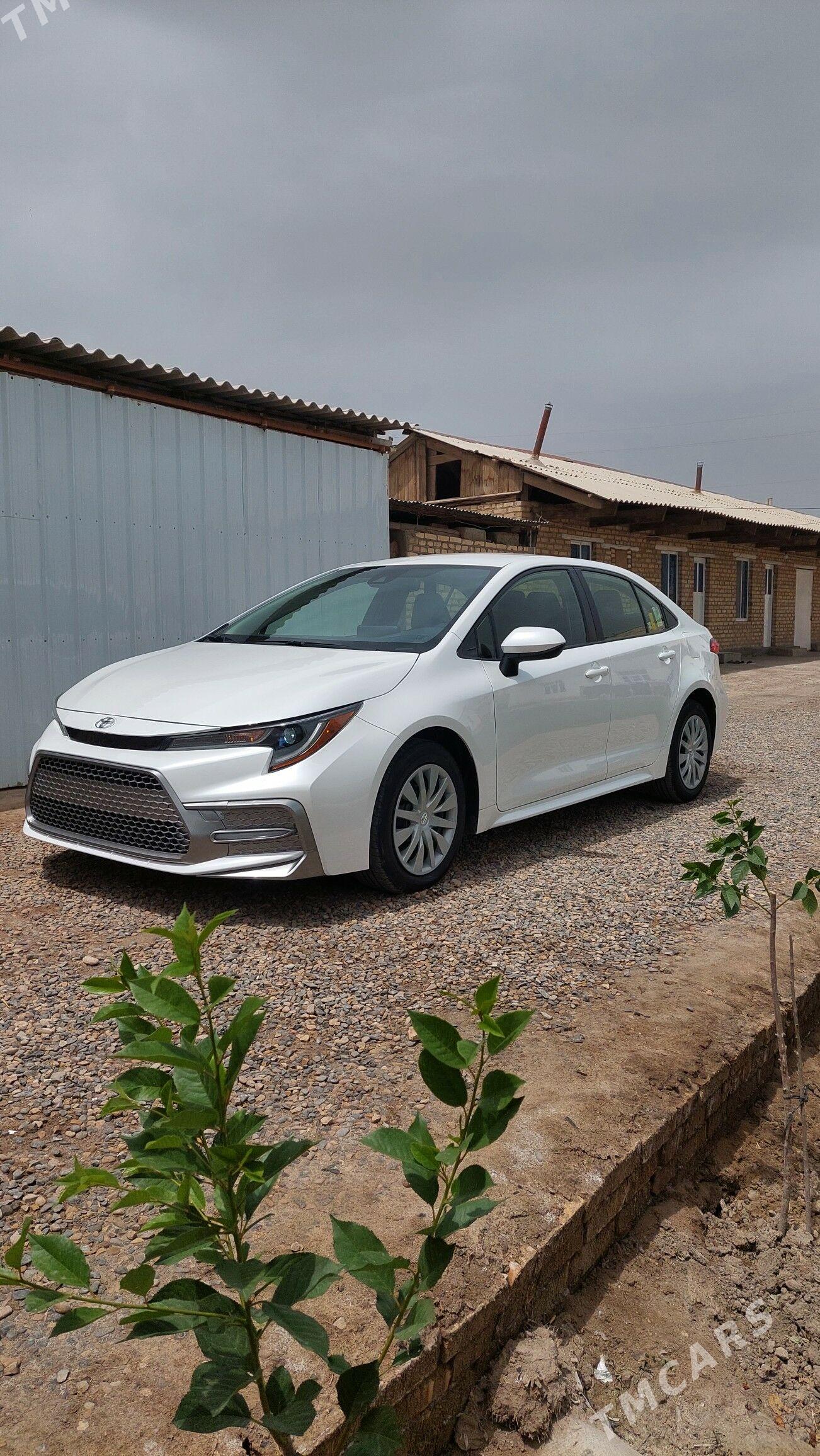 Toyota Corolla 2022 - 240 000 TMT - Mary - img 1