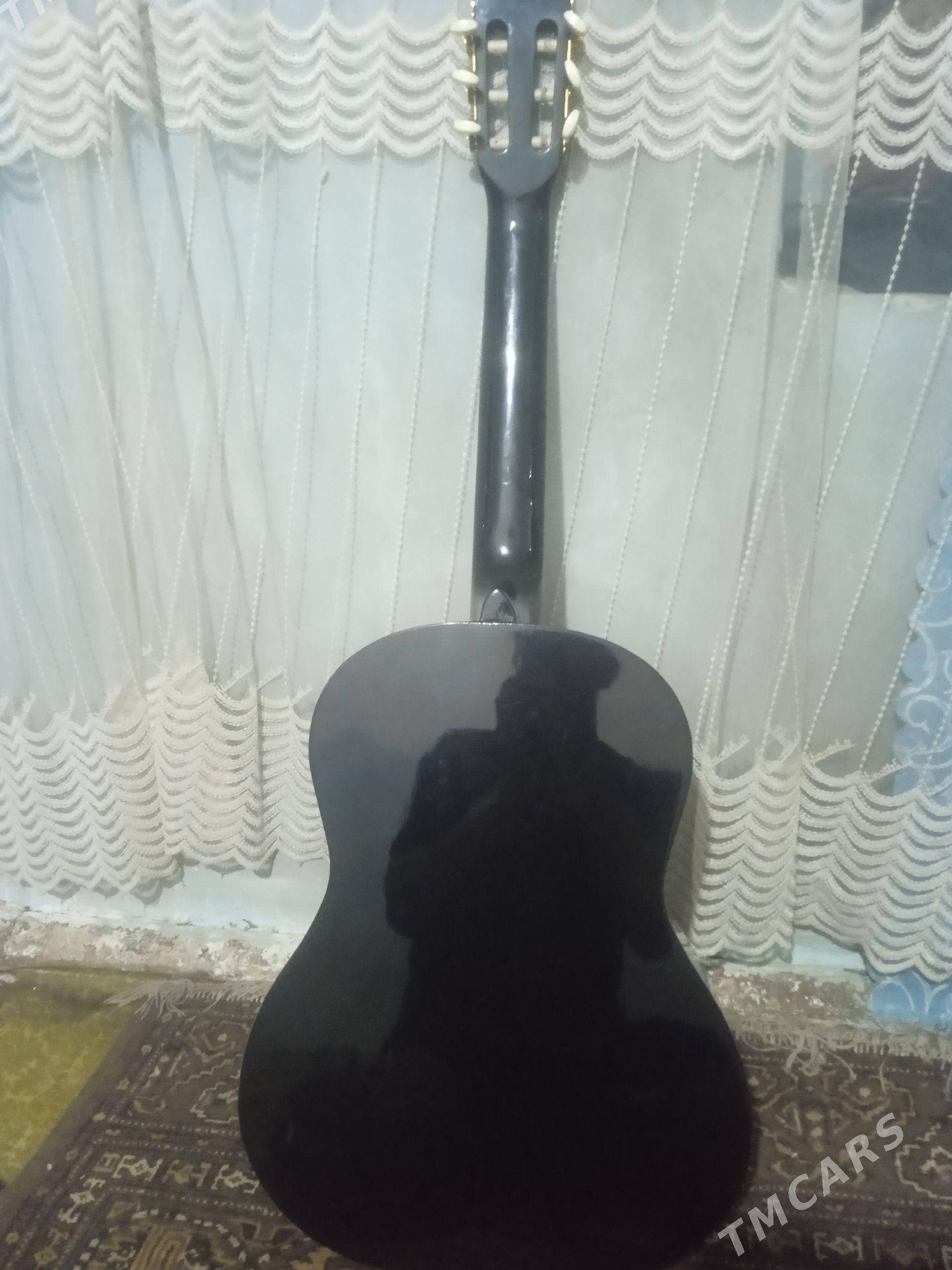gitara - Sakarçäge - img 1