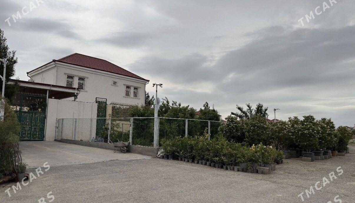 Satlyk jay Cogonly katež arkac - Ашхабад - img 1