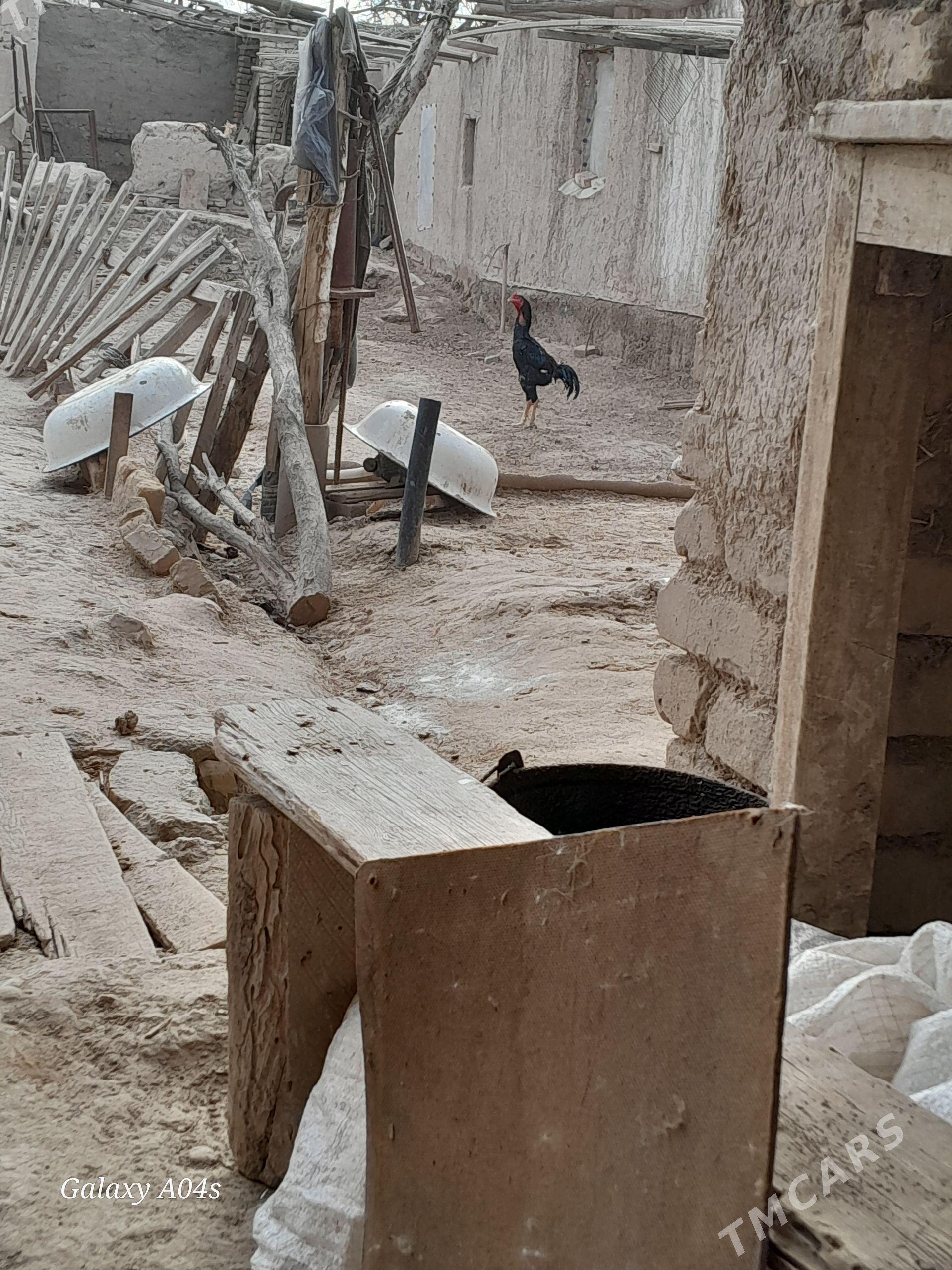 horaz - Şabat etr. - img 1