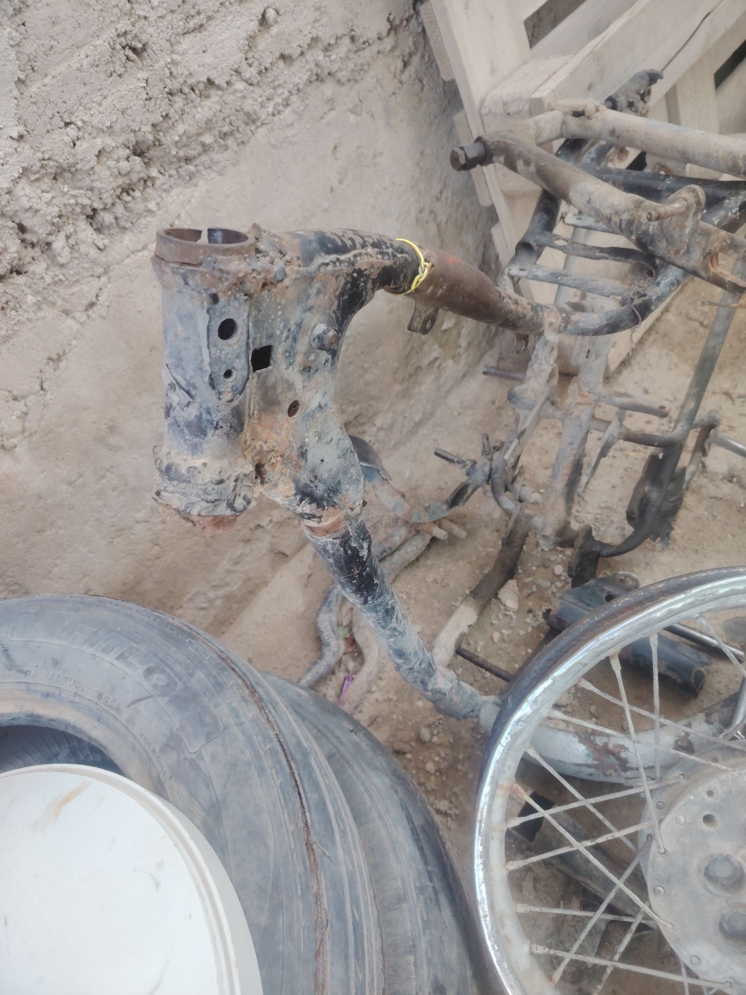 Washod 200 TMT - Jebel - img 1