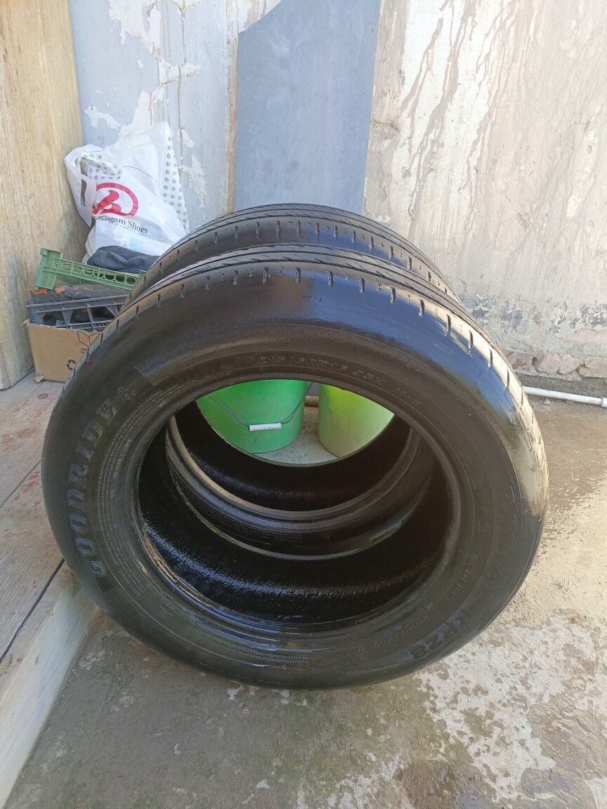 teker 250 TMT - Köneürgenç - img 1